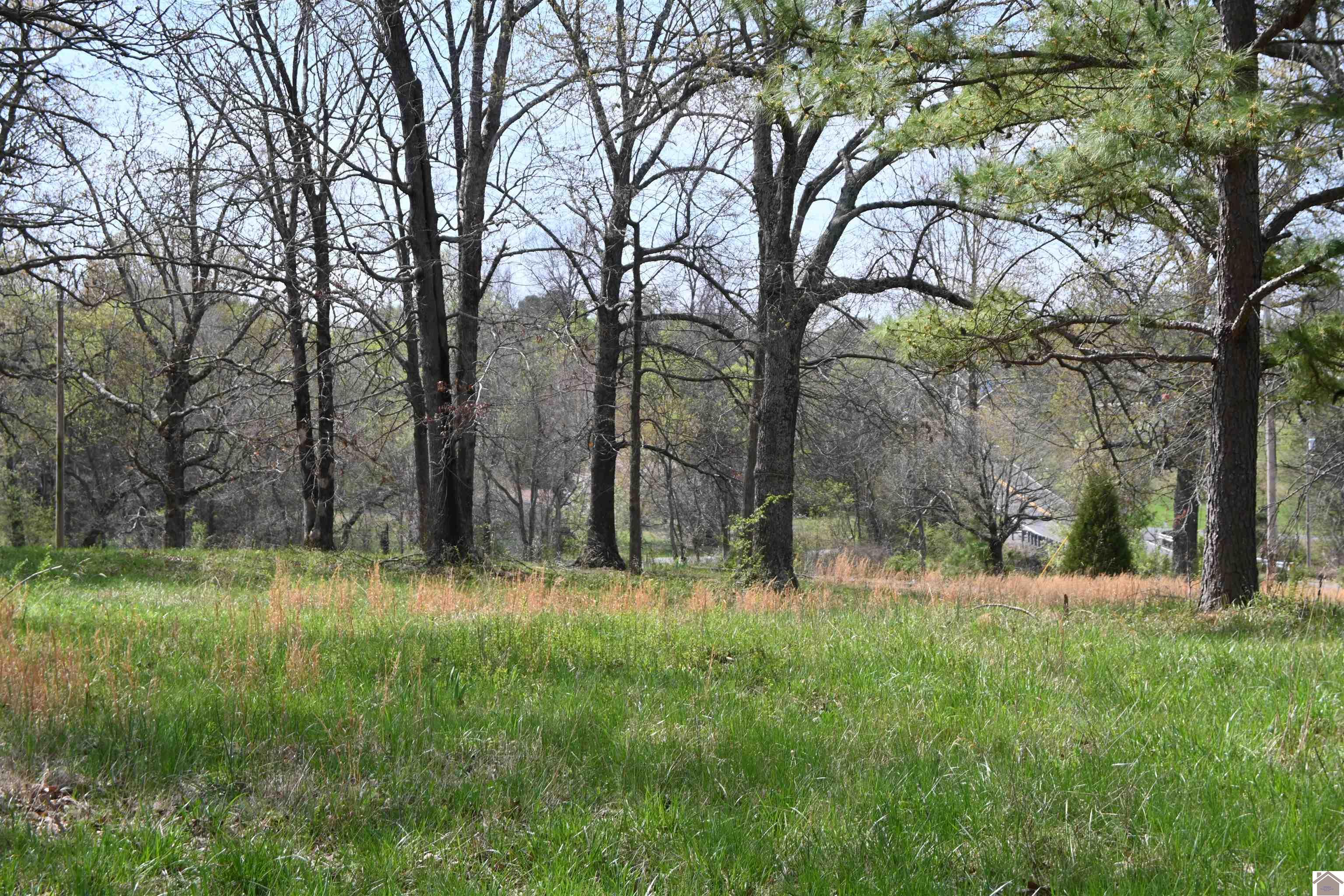 2150 Us Hwy 641 North Property Photo 1