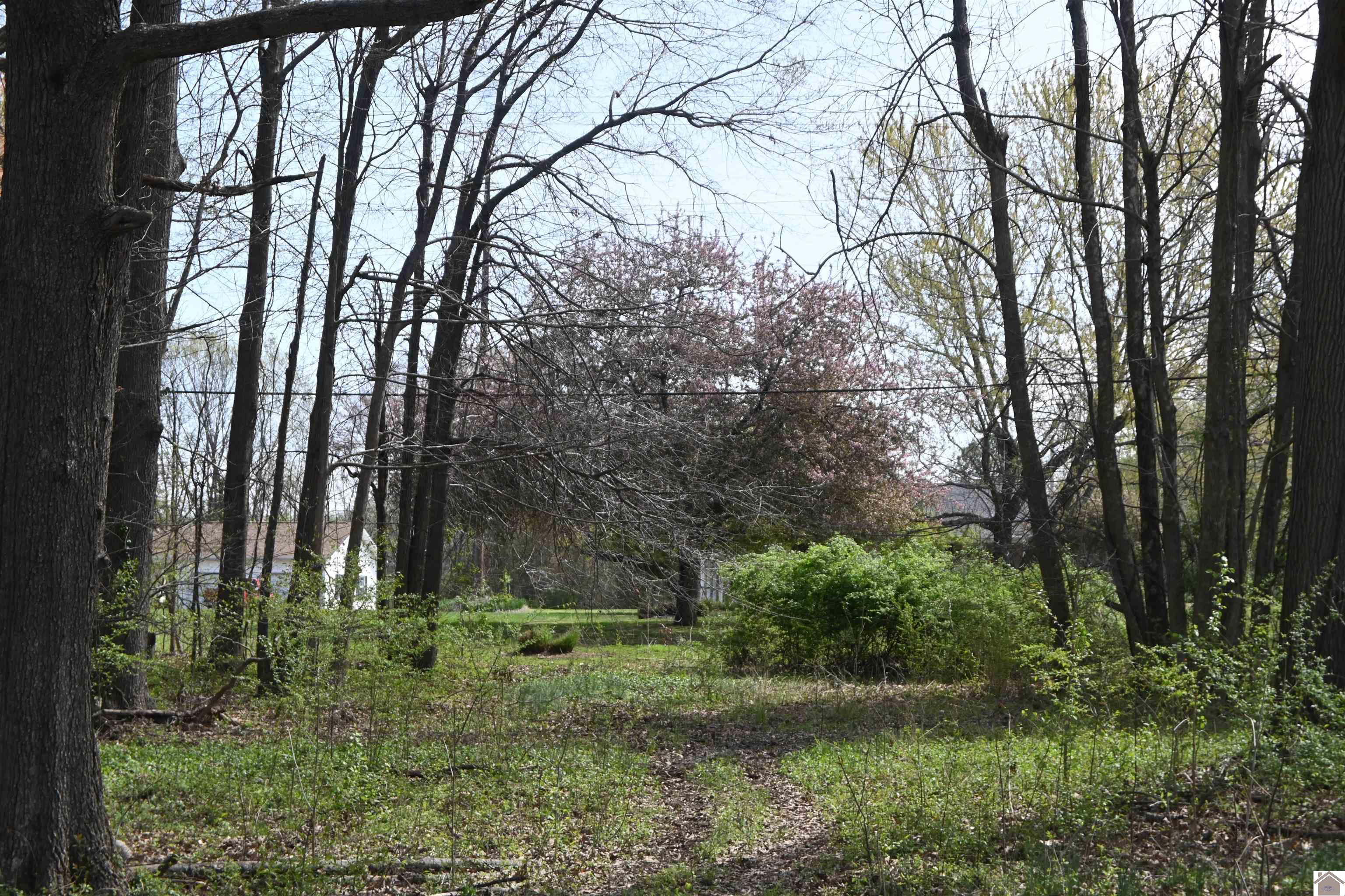 109 Powell Property Photo 1