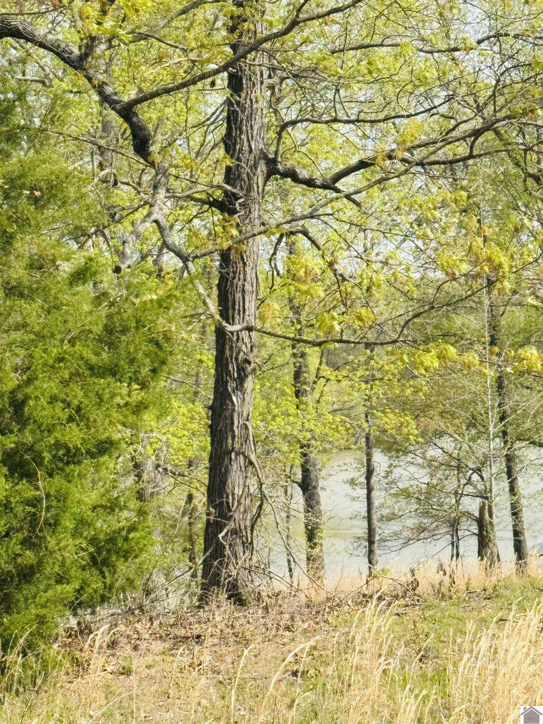Lot # 8 Tradition Drive Property Photo