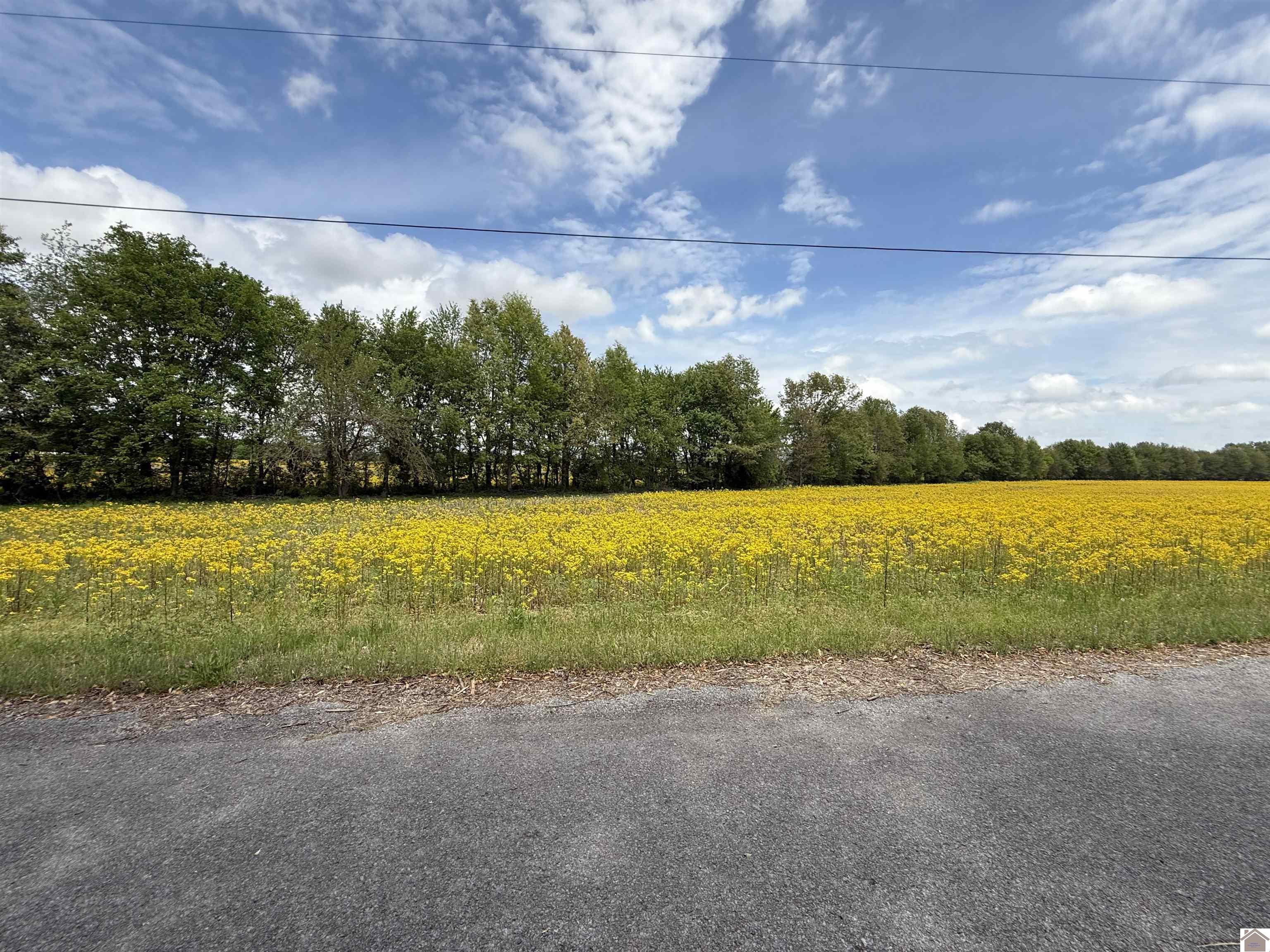 2201 State Route 1241 Property Photo 1