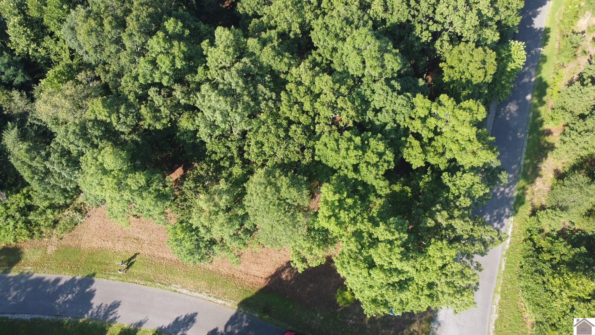 Lot 31 Old Hillcrest Dr Property Photo 1