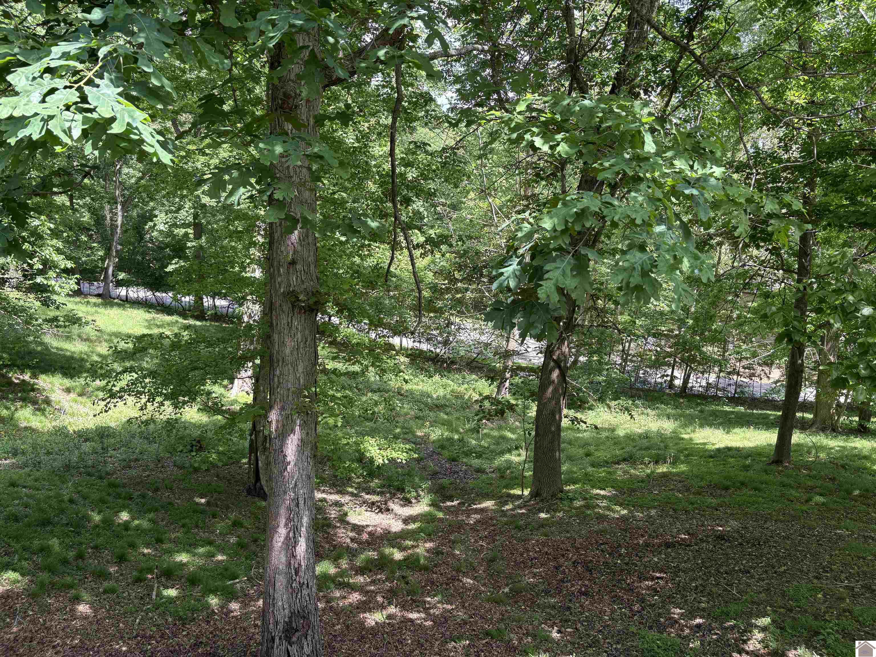 333 Richmond Property Photo 6