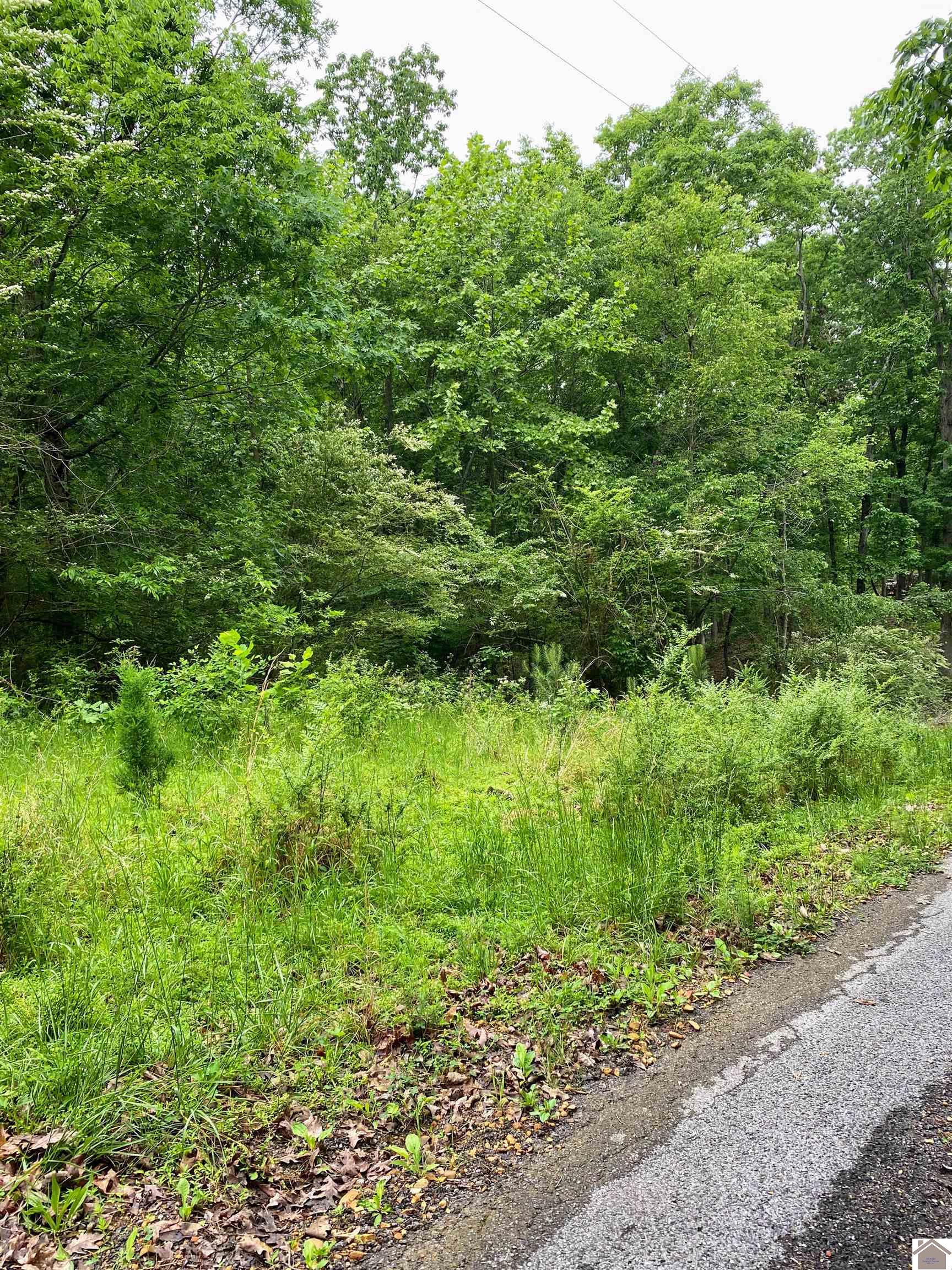 00 Tearose Dr. Property Photo 1