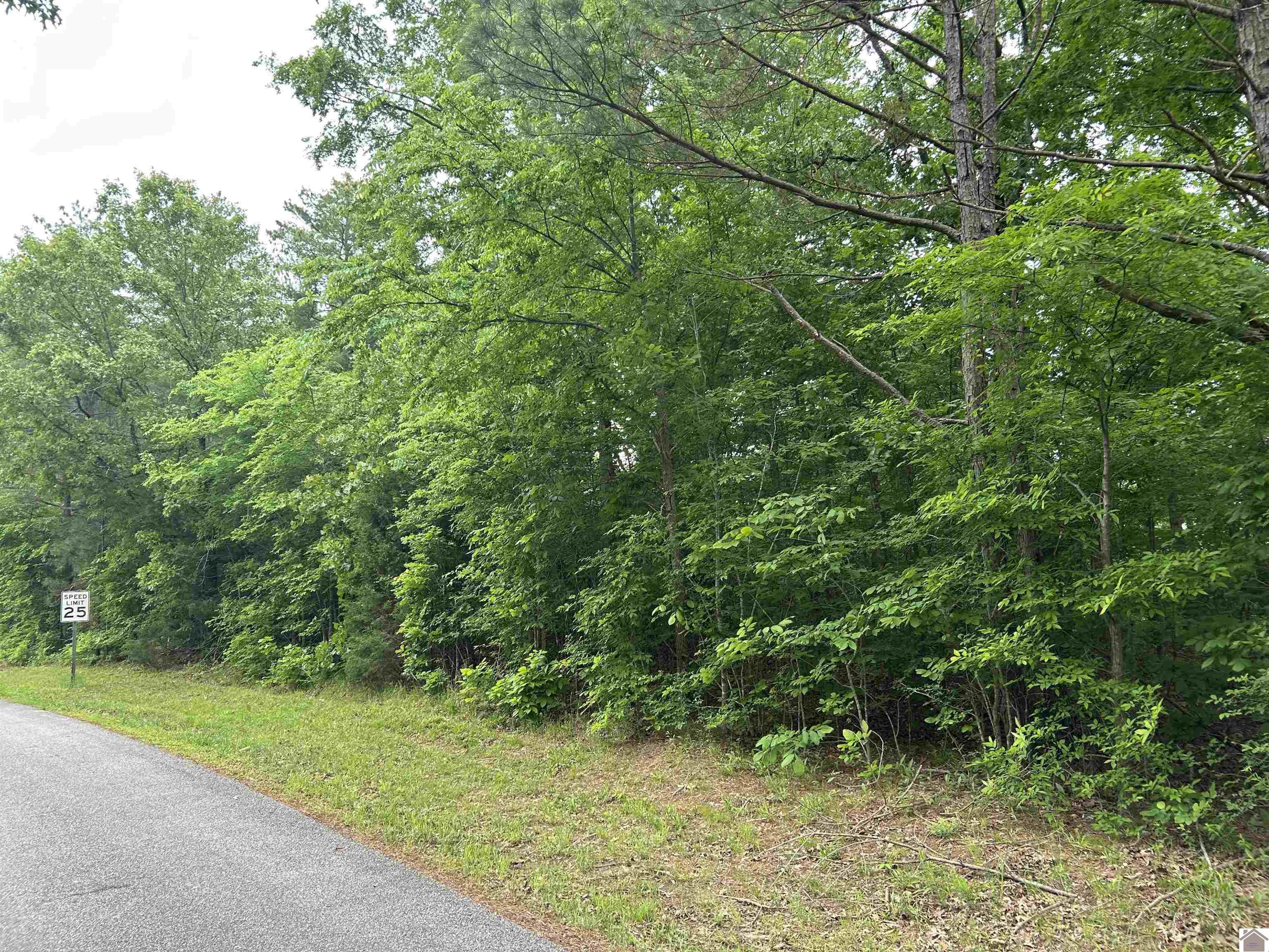 00 Jonathan Point Property Photo