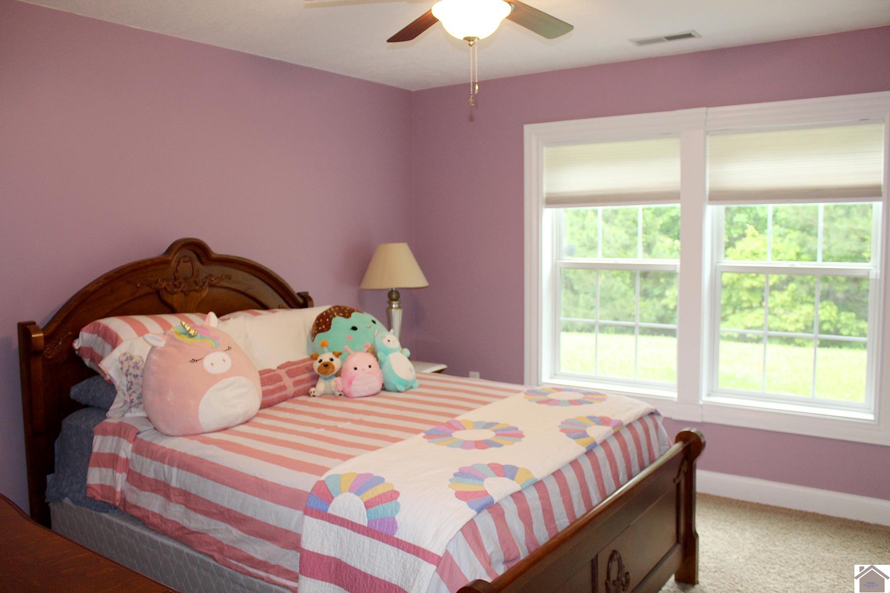 494 Beat Farmer Road Property Photo 42