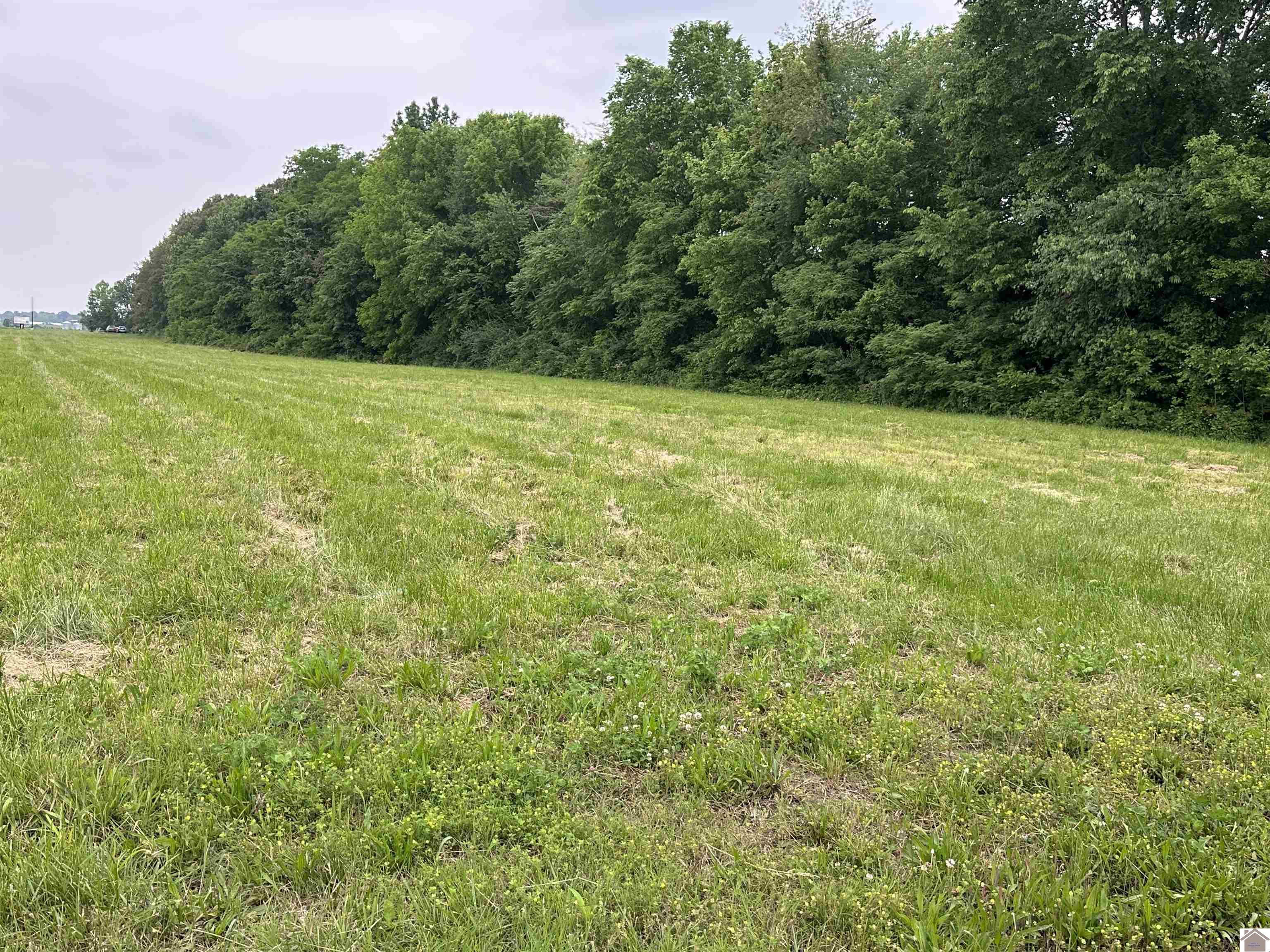 Commonwealth & Douthitt Dr Property Photo 1