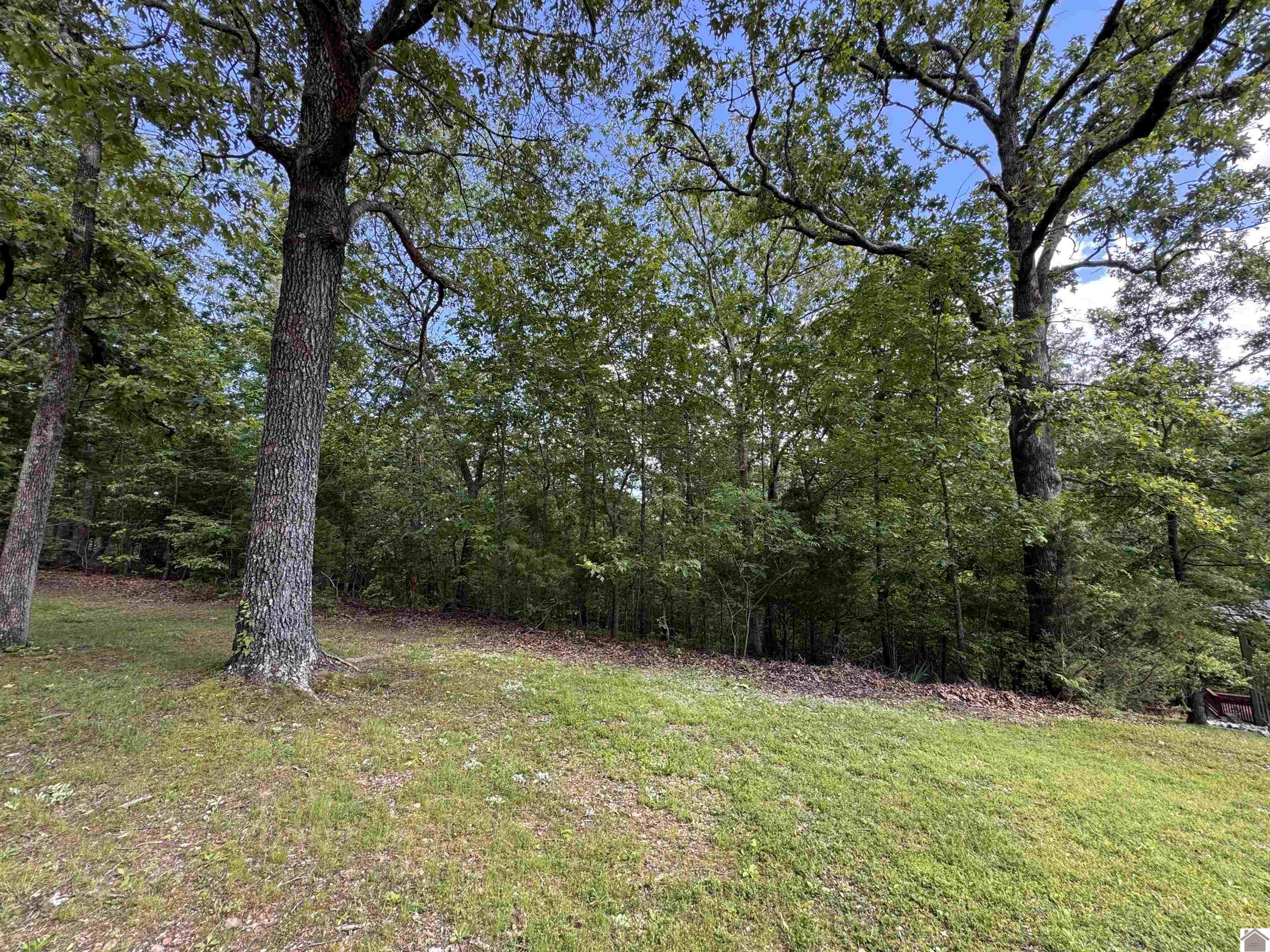 00 Leisure Acres Lane, Lot 8 Property Photo 1