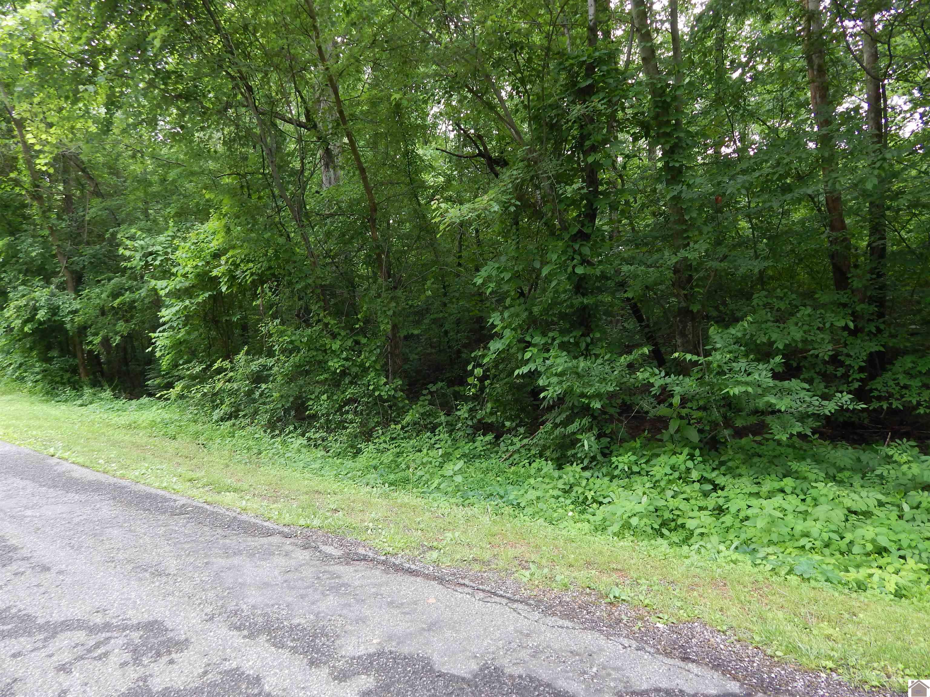 00 Tatumsville Hwy Property Photo 1