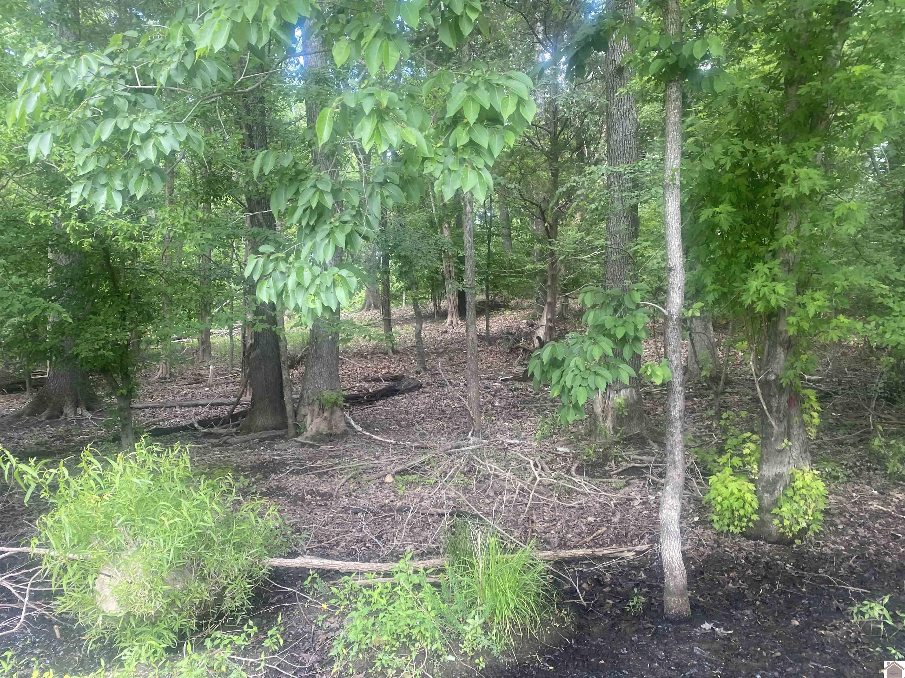 011 Breckinridge Pt. Property Photo 1