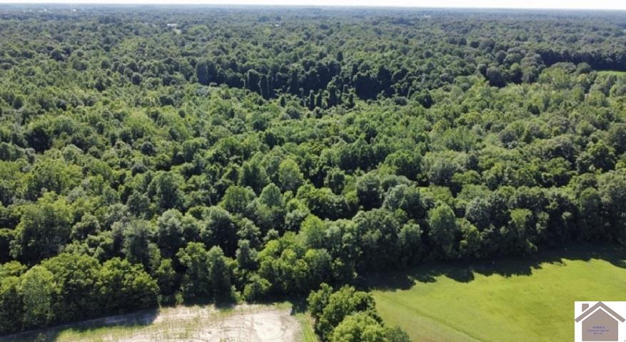 1 Timber Ridge Drive Property Photo 1