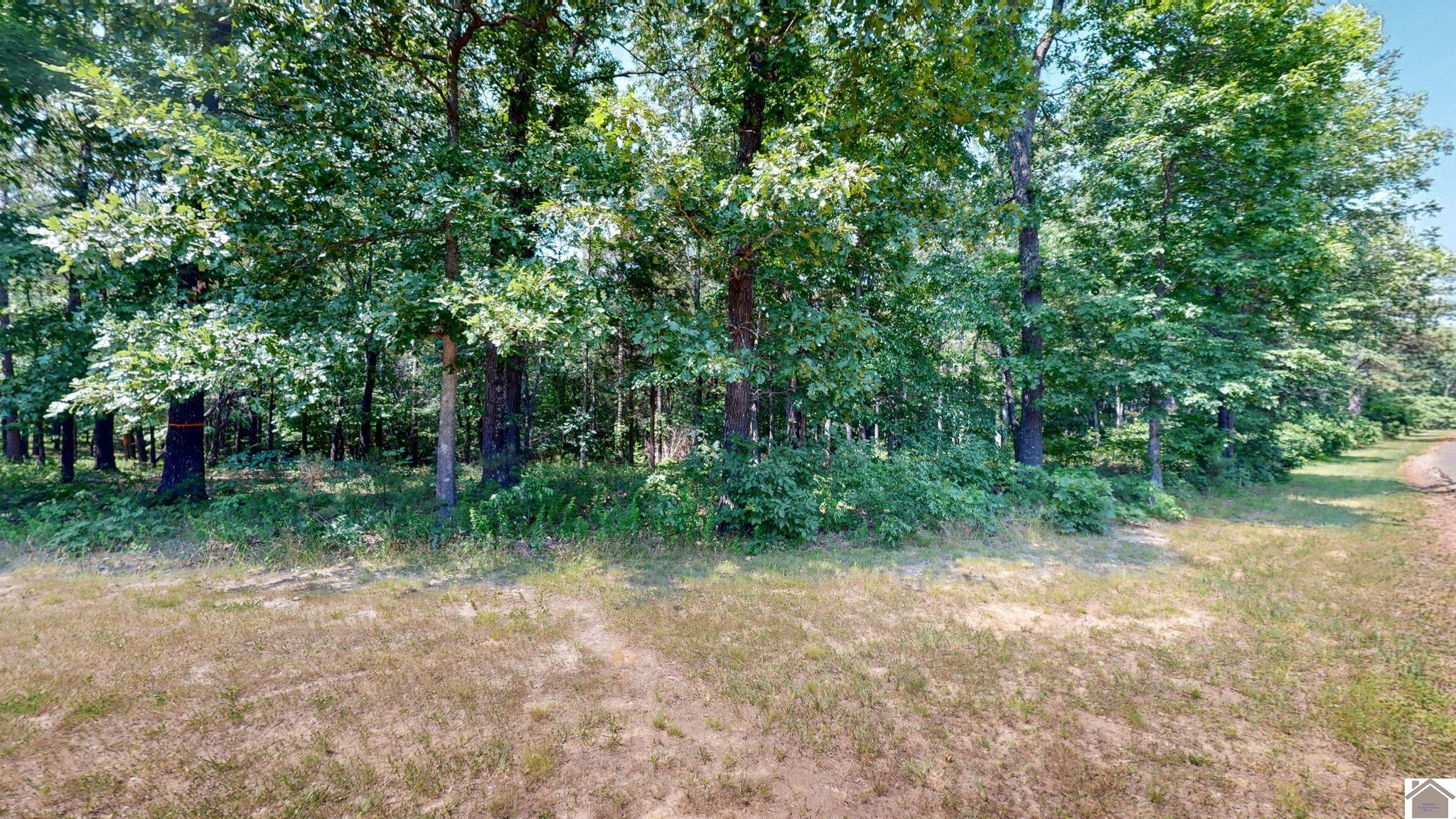00 Streetland Ln Property Photo 1
