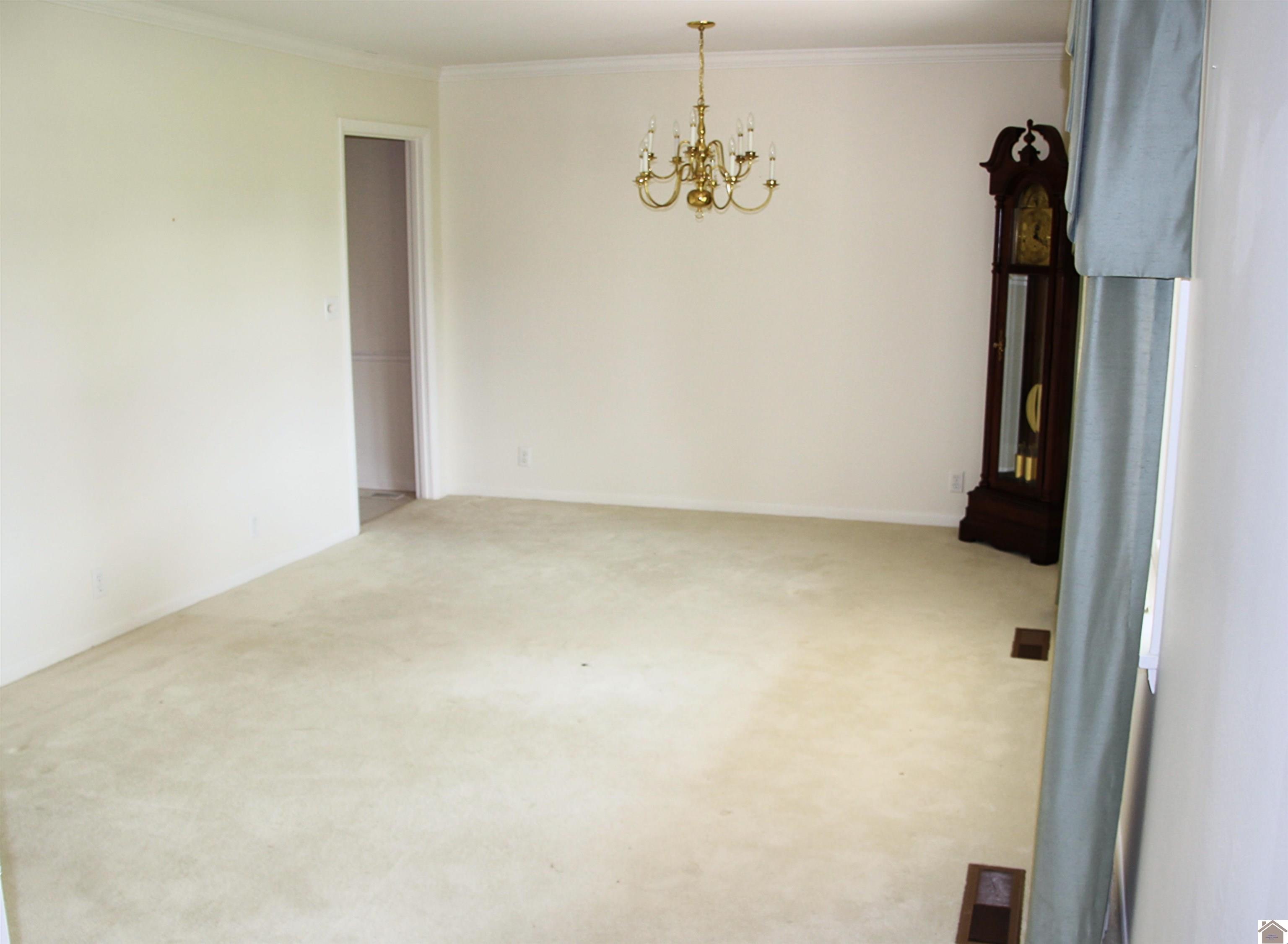 156 Albany Property Photo 3