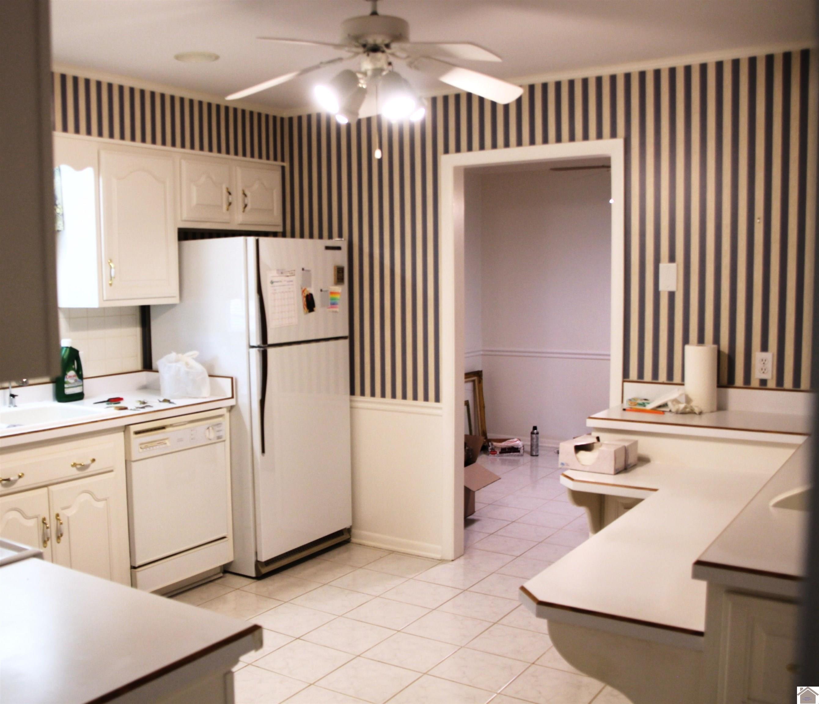 156 Albany Property Photo 4