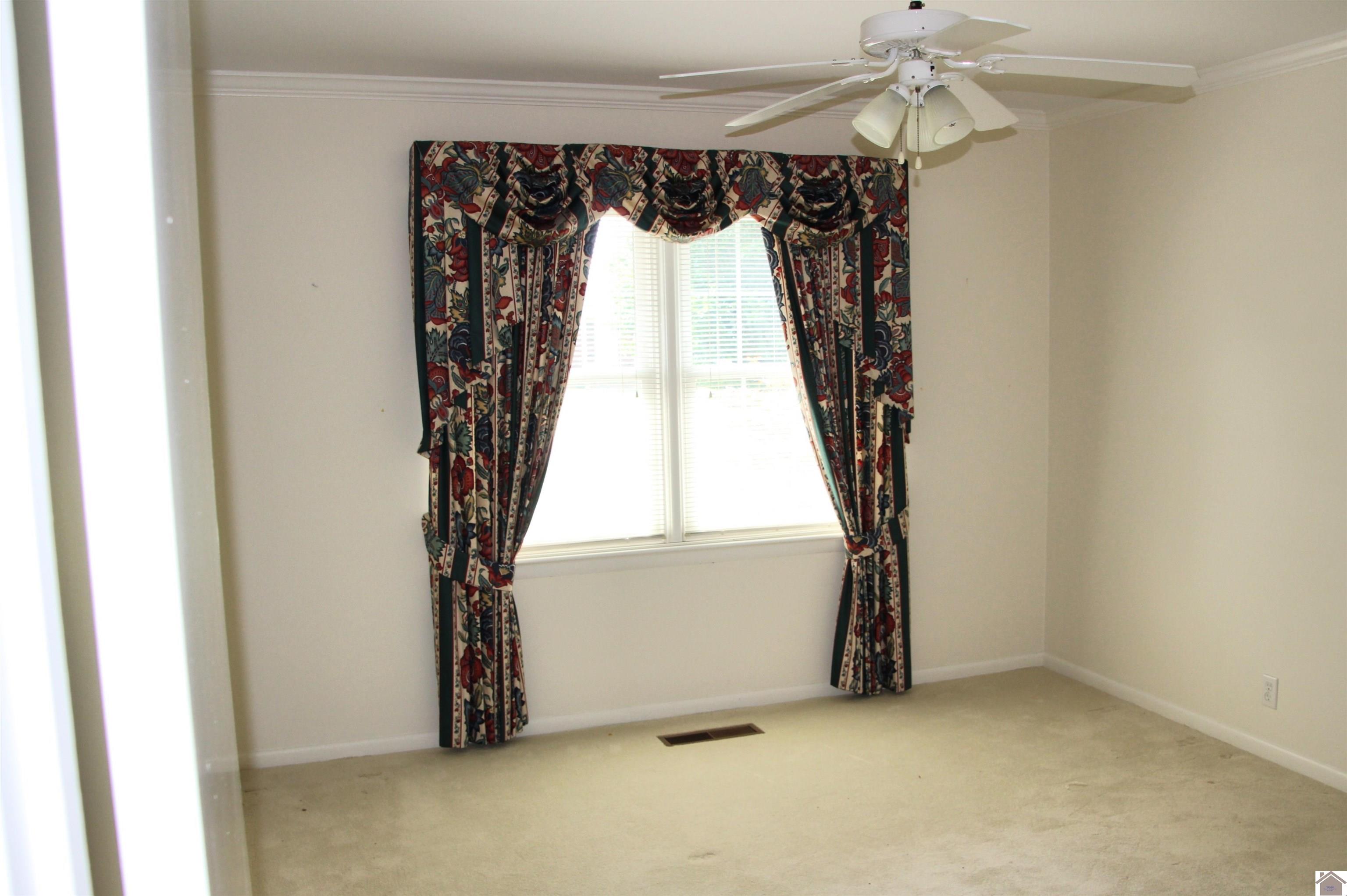 156 Albany Property Photo 8