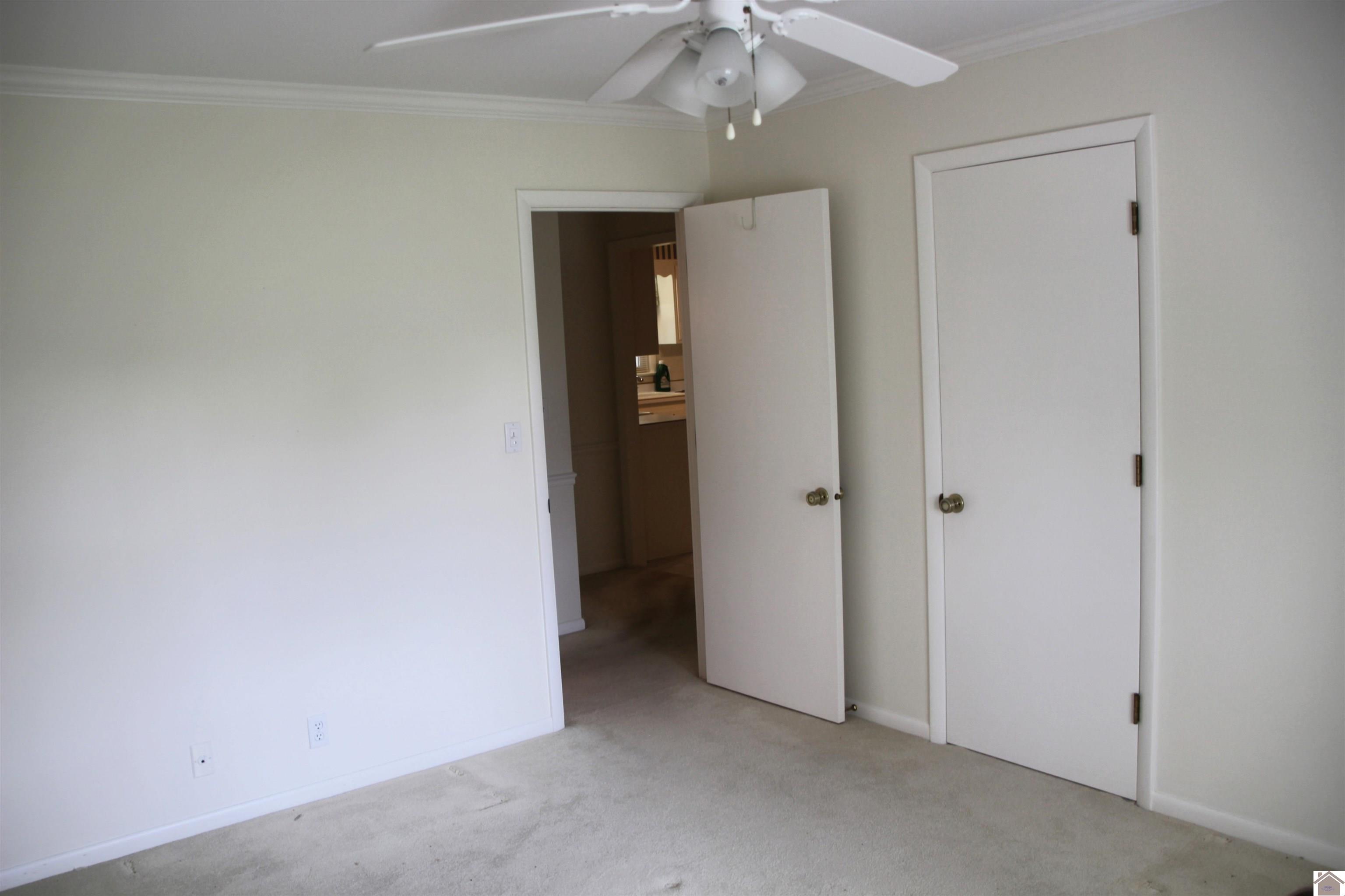 156 Albany Property Photo 9