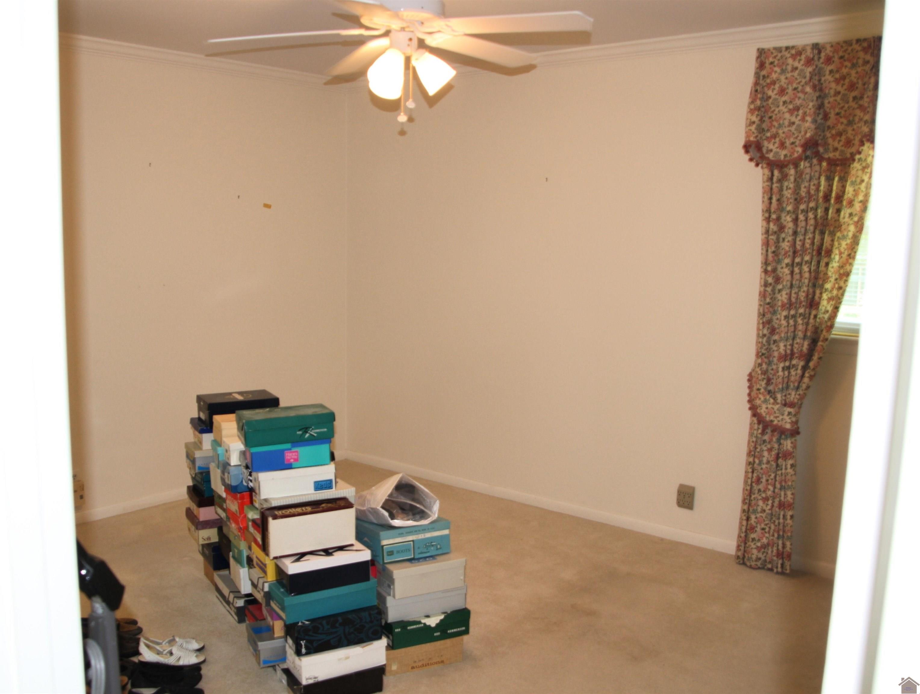 156 Albany Property Photo 12