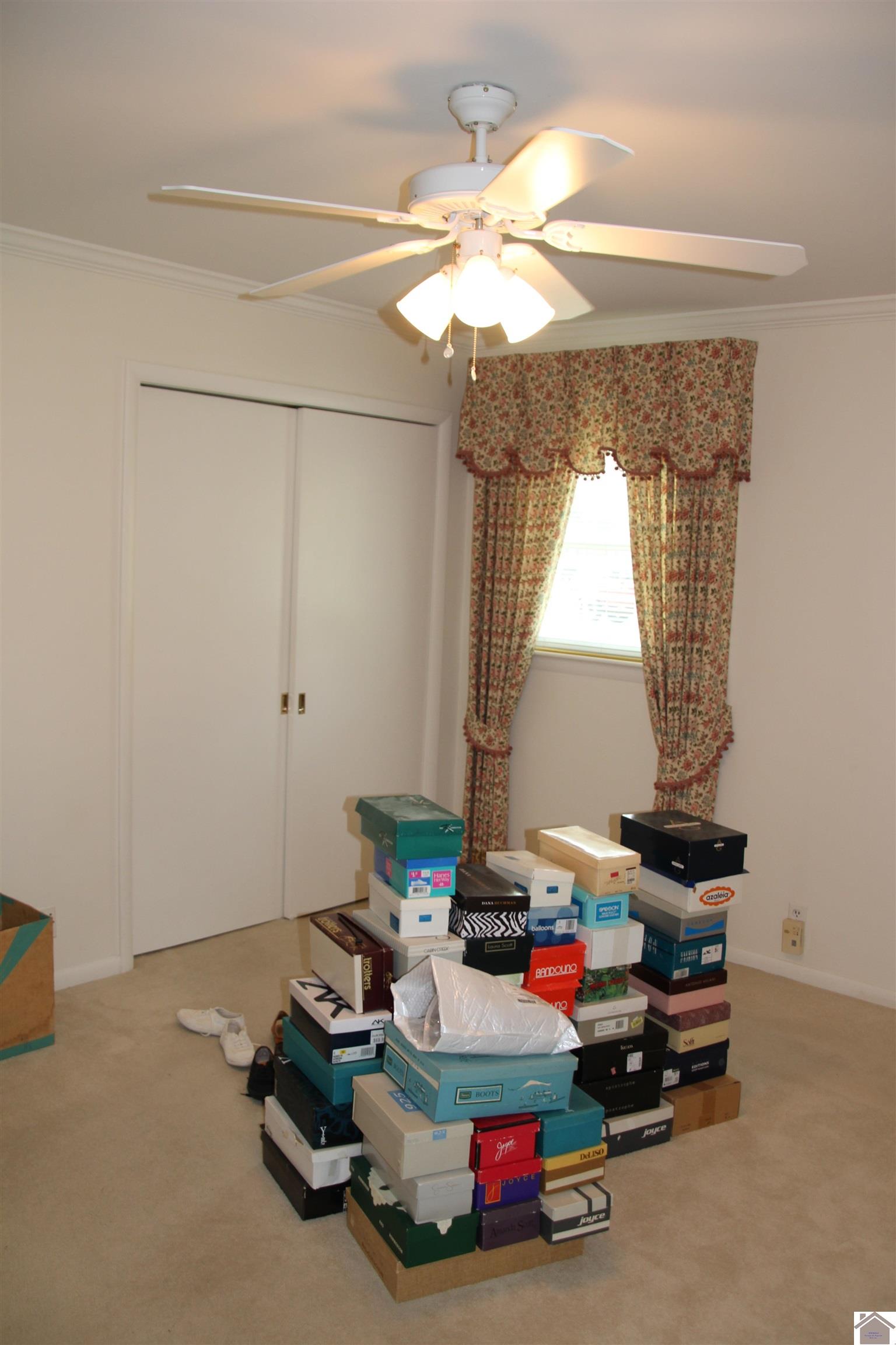 156 Albany Property Photo 15