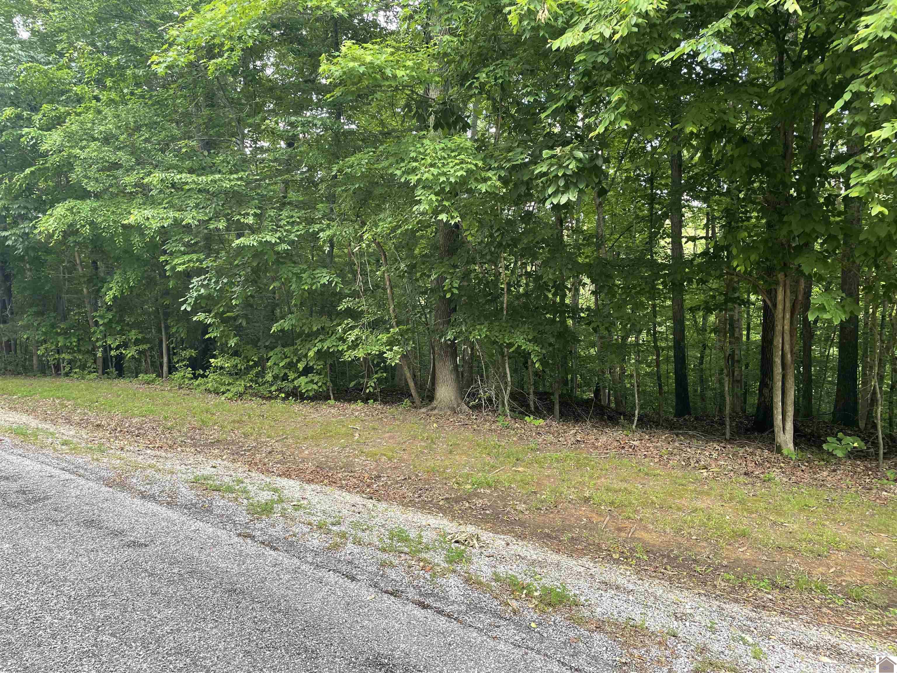 Lot 59 Quail Ridge Rd. Property Photo 1