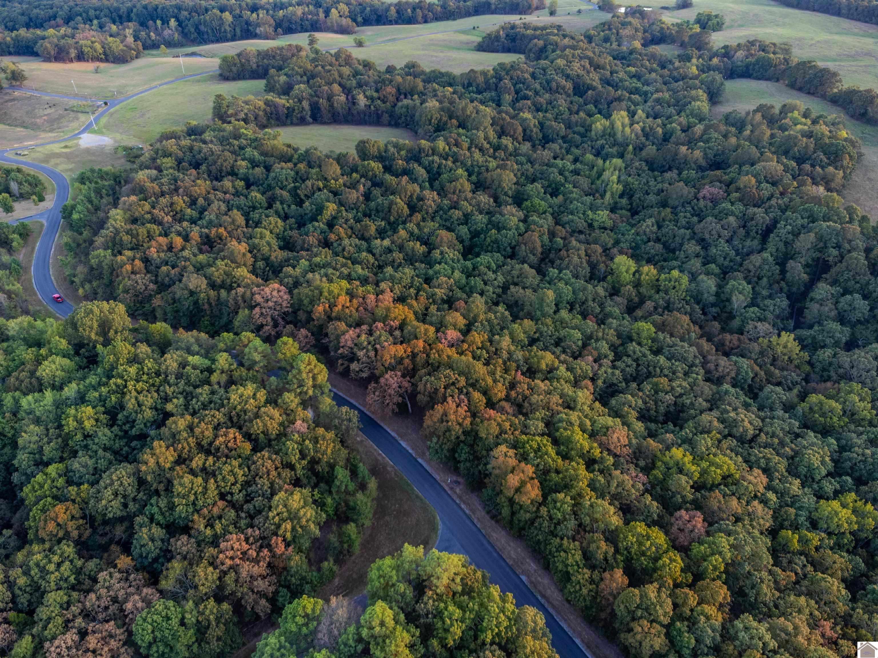 Lot 79b Waterfowl Property Photo 8