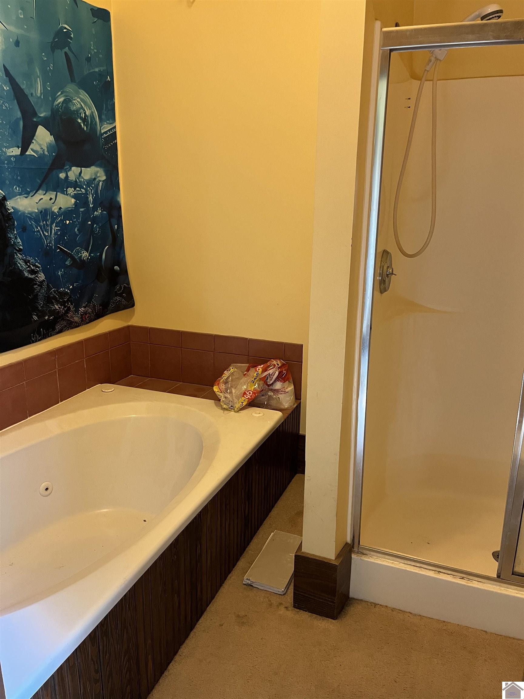 203 Court St. Property Photo 24