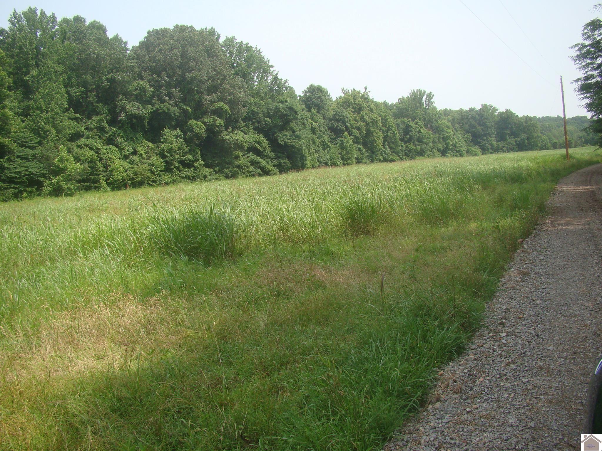 100 Howdy Doody Drive Property Photo 1