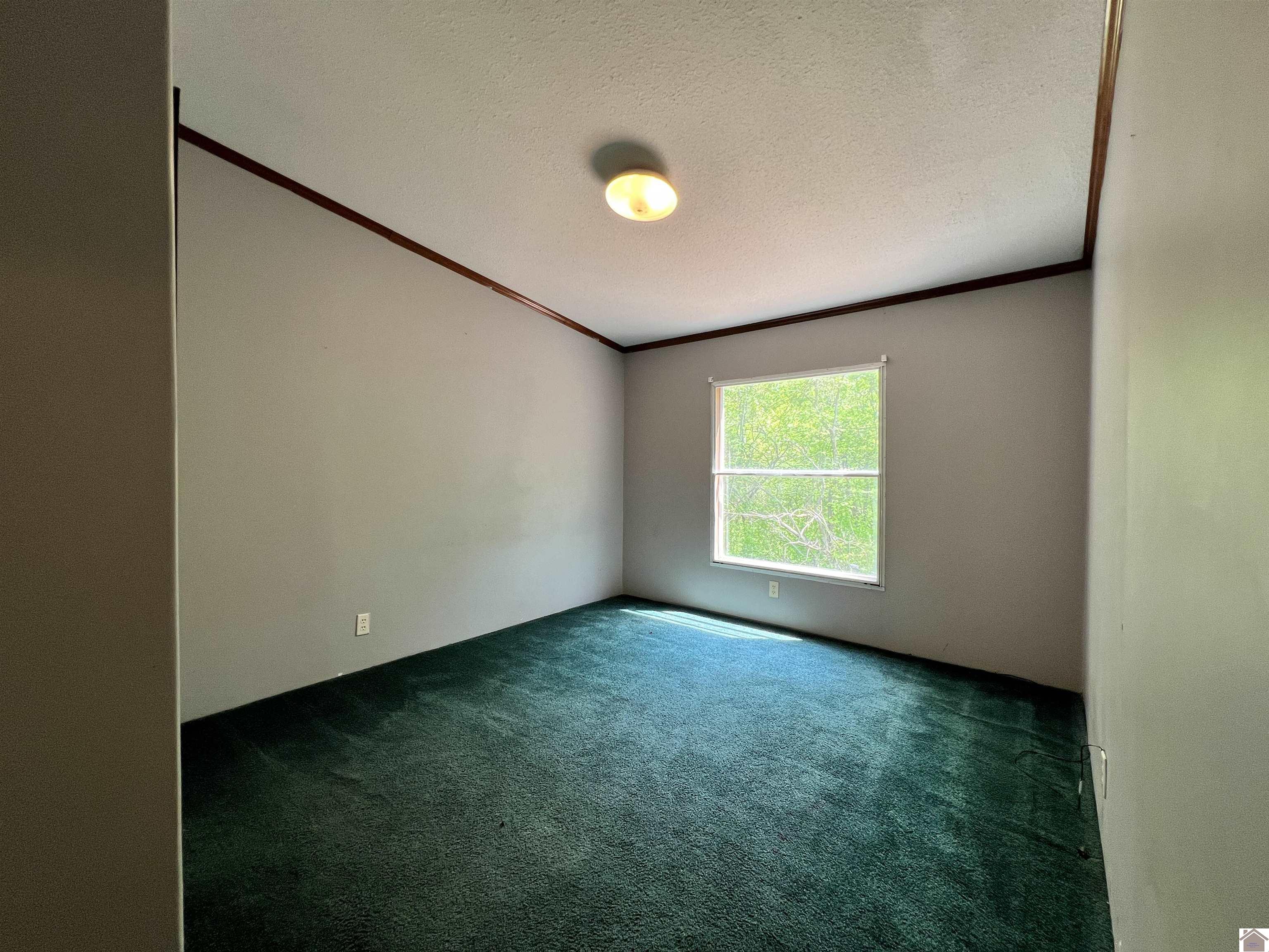 5392 New Providence Road Property Photo 13