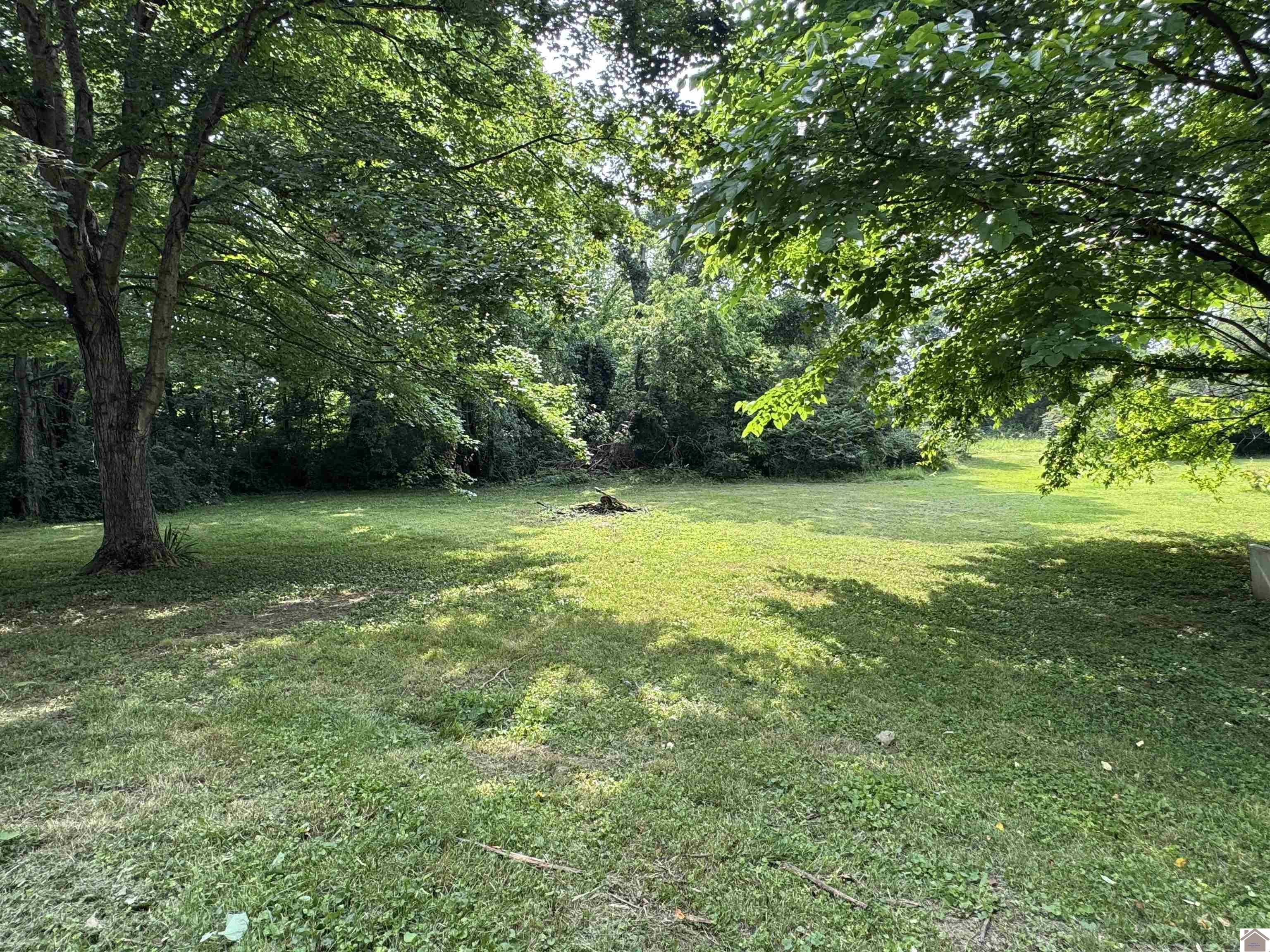 67 Beshear Lane Property Photo 18