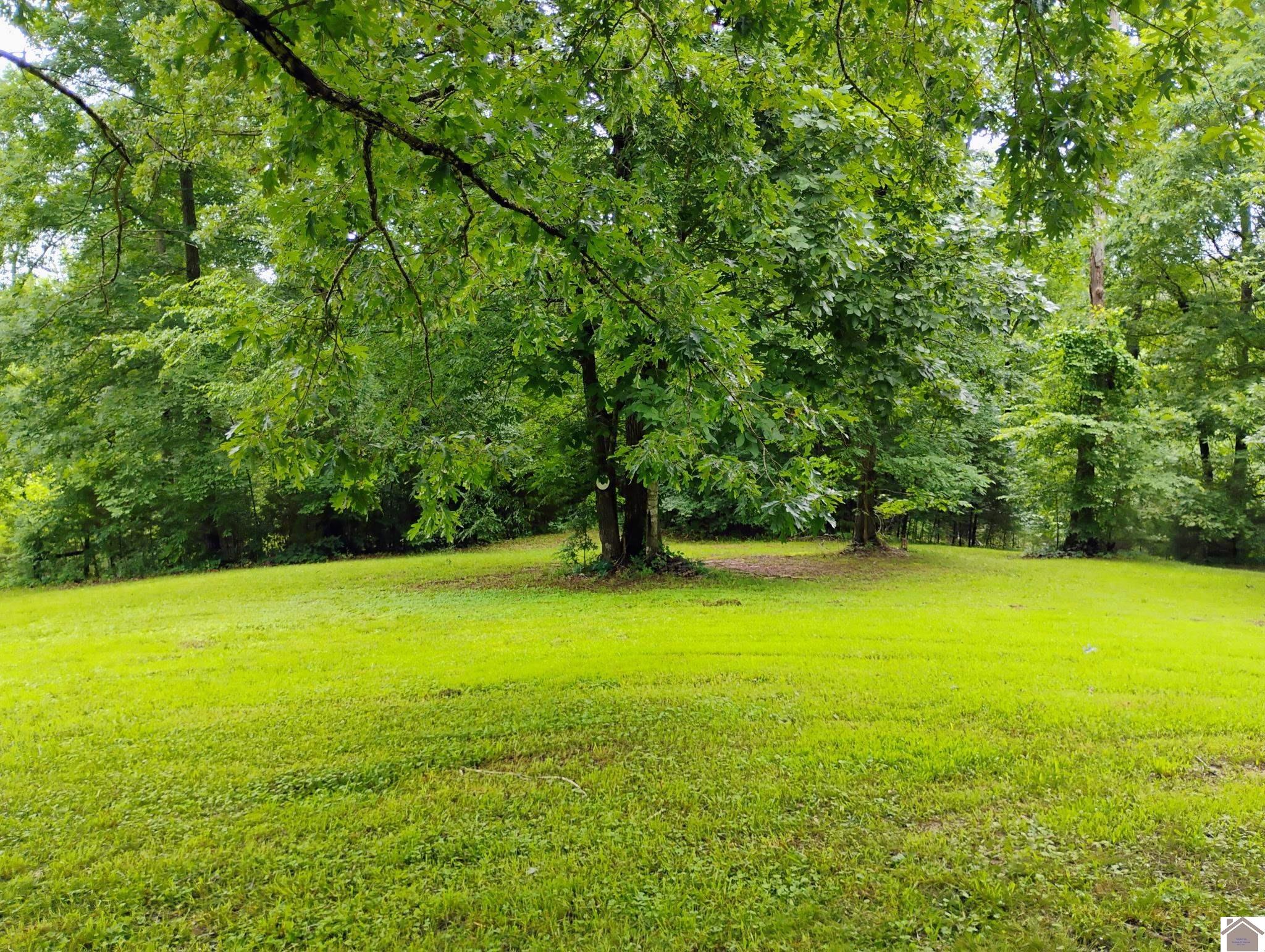 1236 Capp Springs Road Property Photo 25