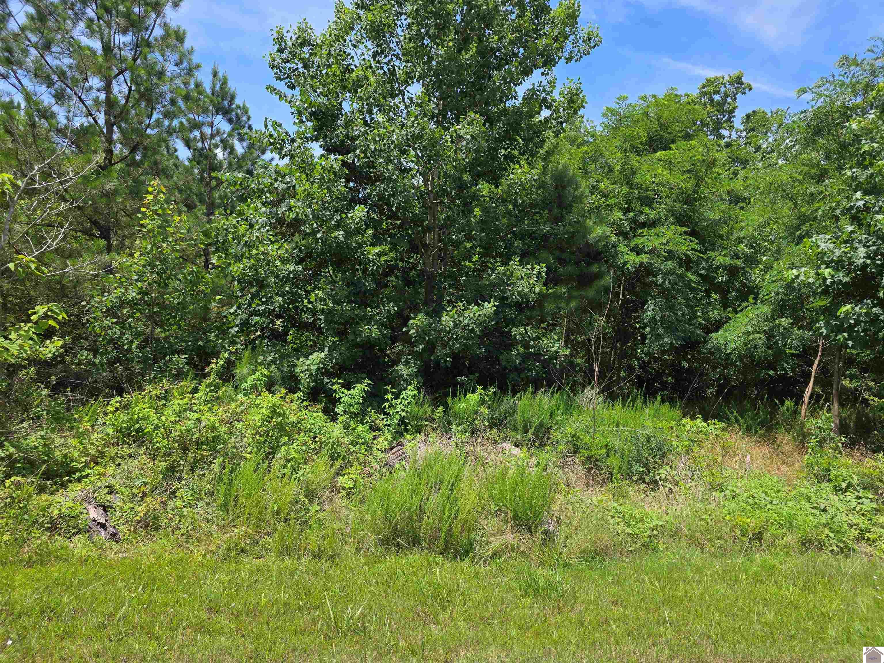 Anchor Road- Lot #63 Property Photo 1