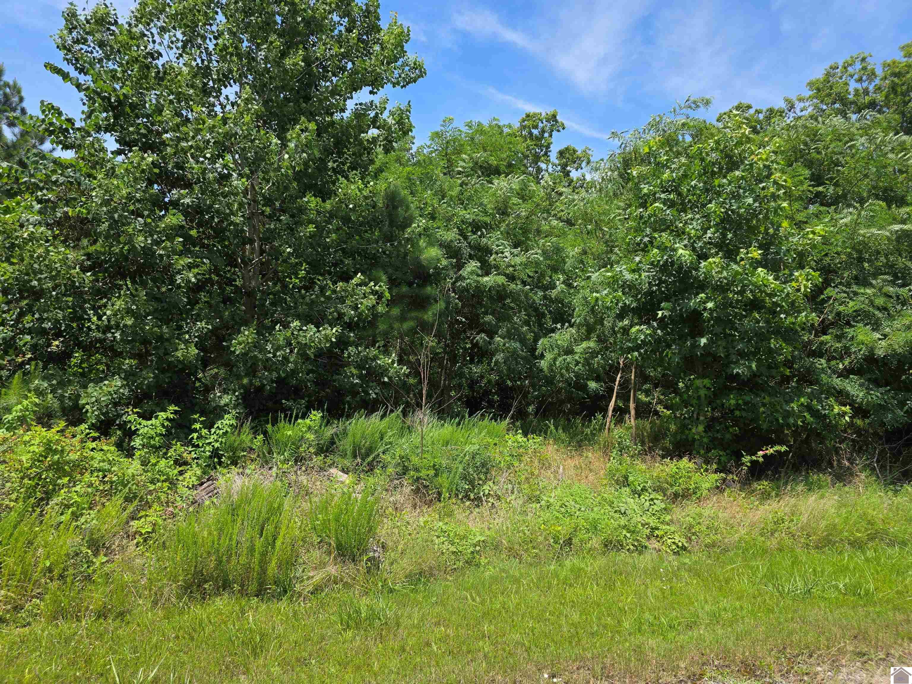 Anchor Road- Lot #63 Property Photo 2