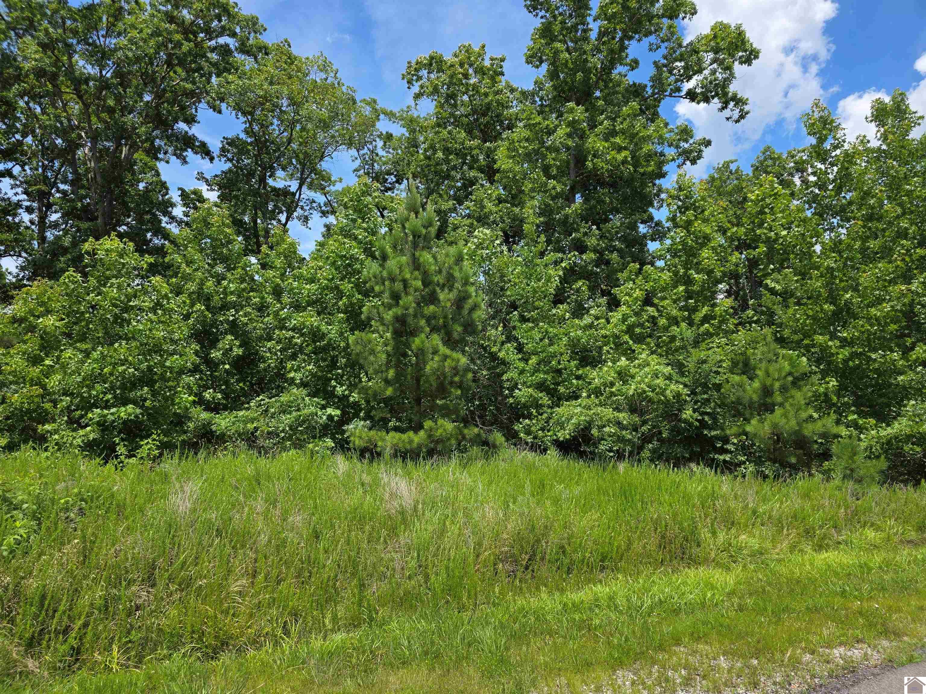 Anchor Road- Lot #64 Property Photo 1