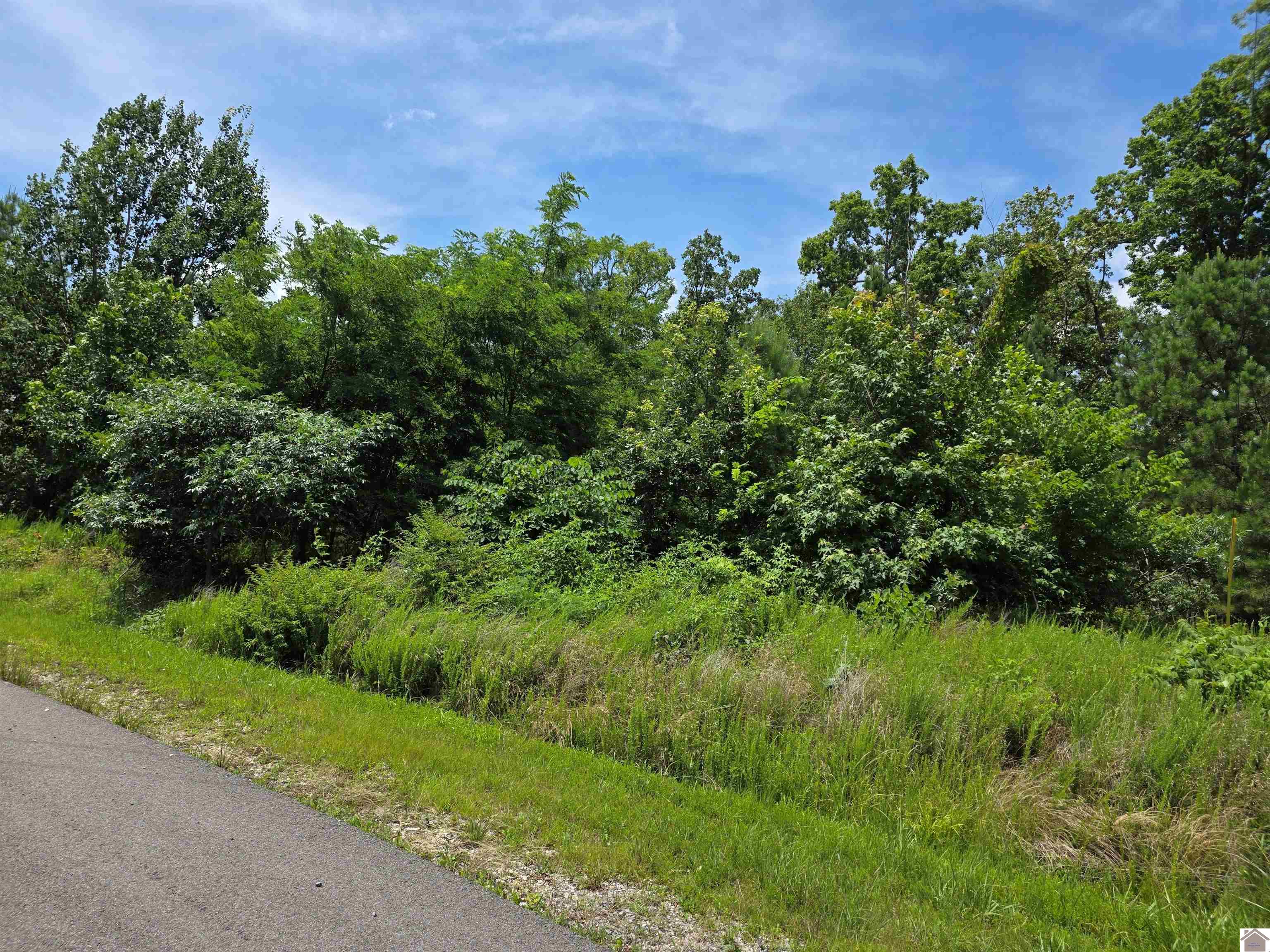 Anchor Road- Lot #63 & 64 Property Photo 1
