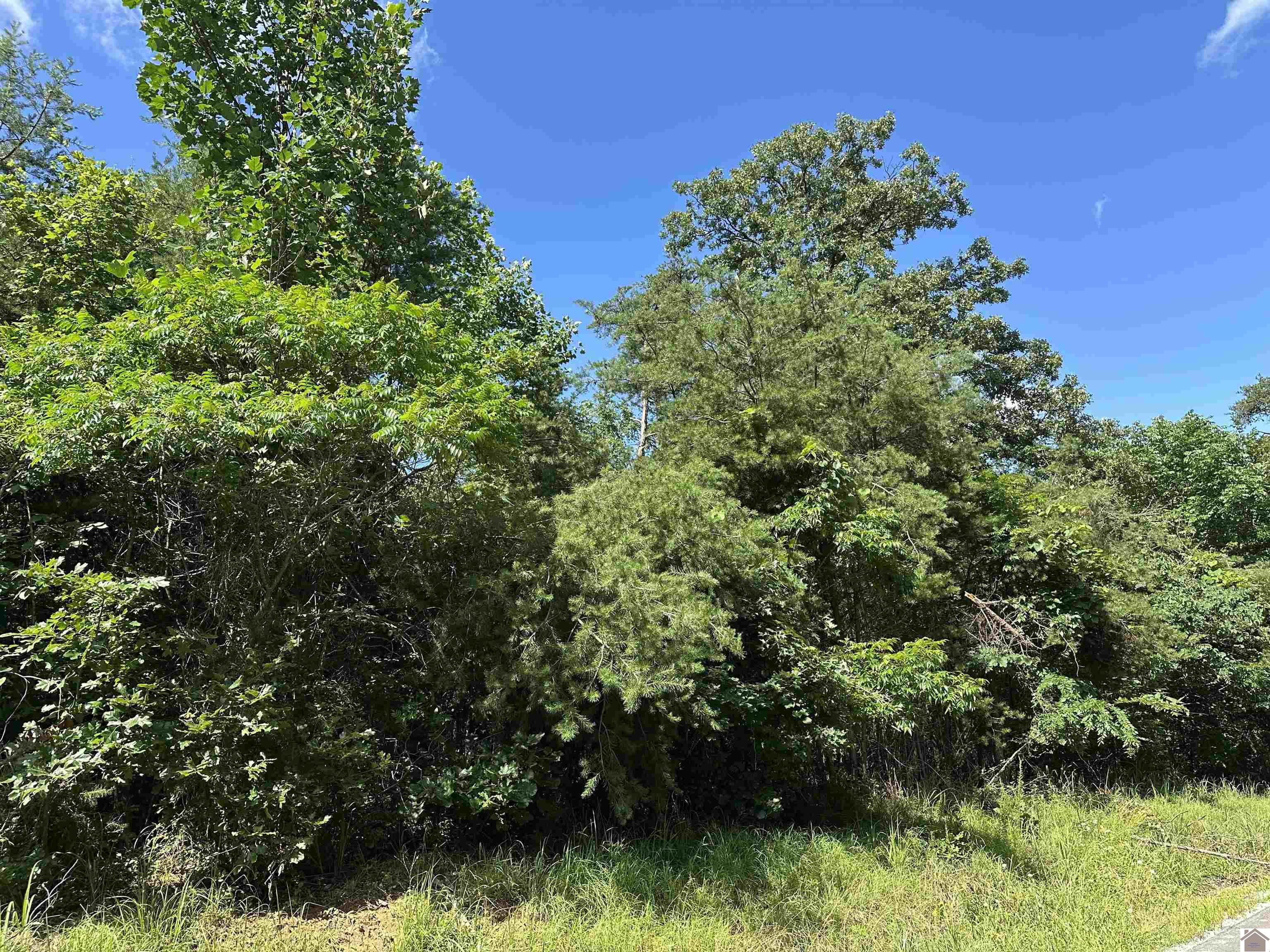 0 Mt Hebron Church Road Property Photo 1