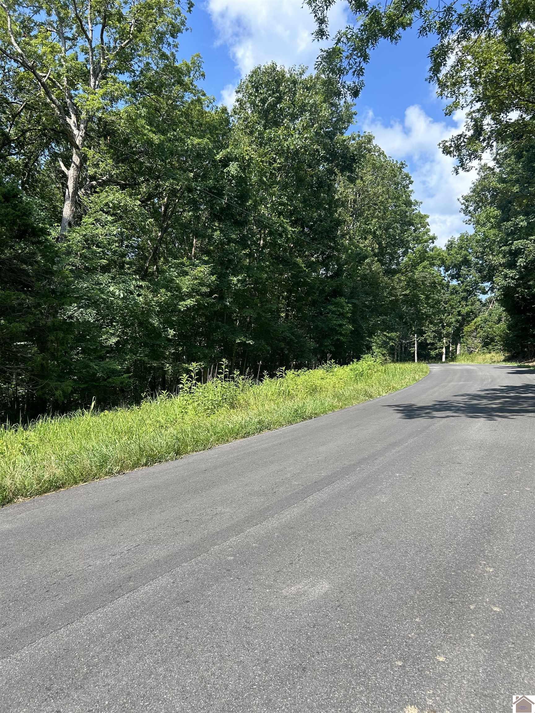 Bluegrass Est 6 Canton Blue Springs Road Property Photo 1