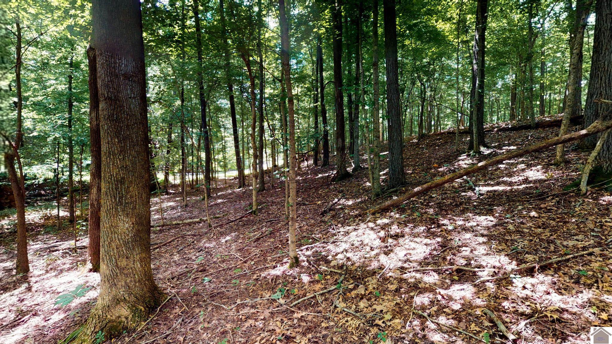 Champion Hills Lots 31,32,33 Property Photo 1