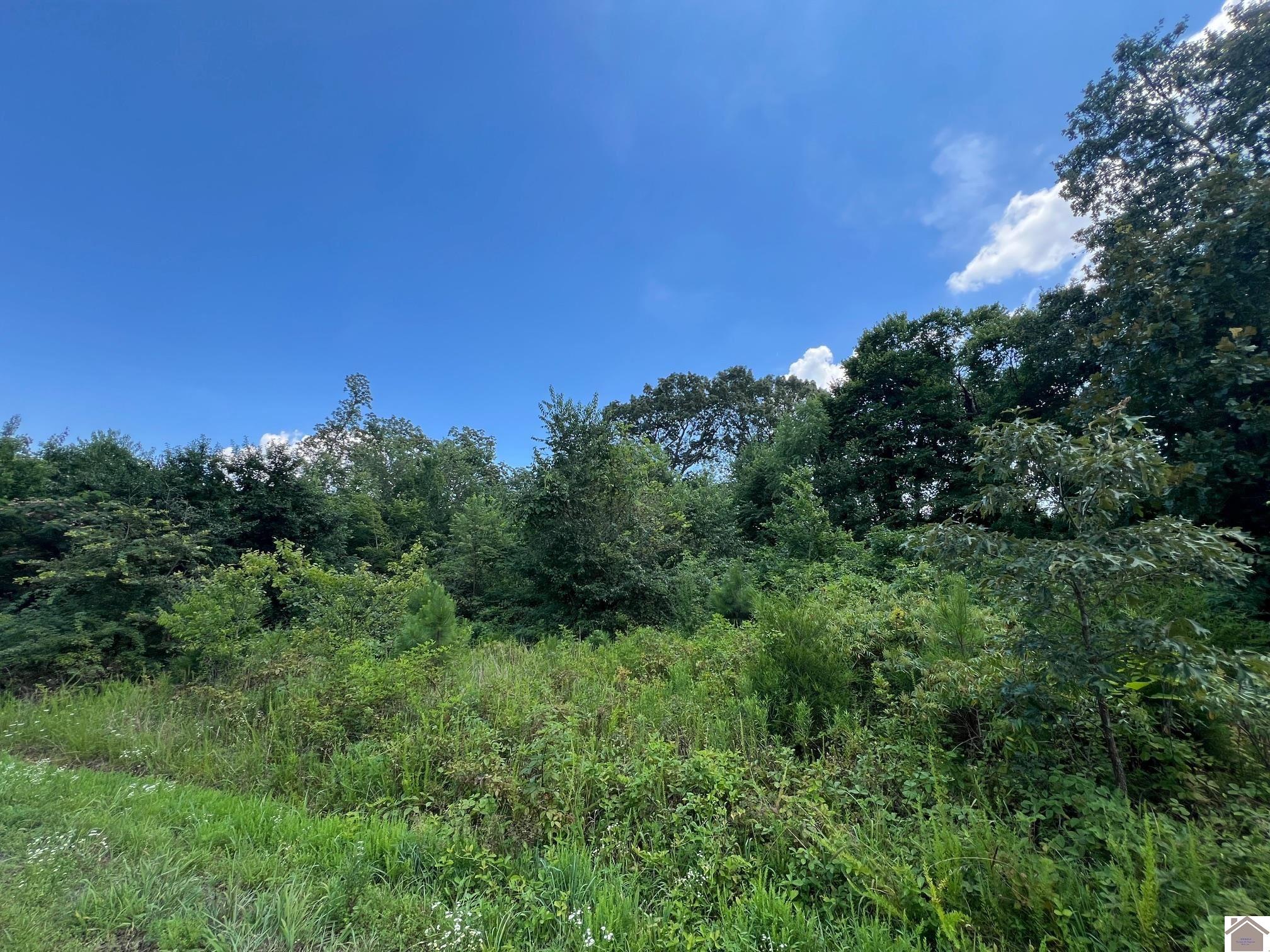 Lot 58 Western Shores, Phase Iii Property Photo 1