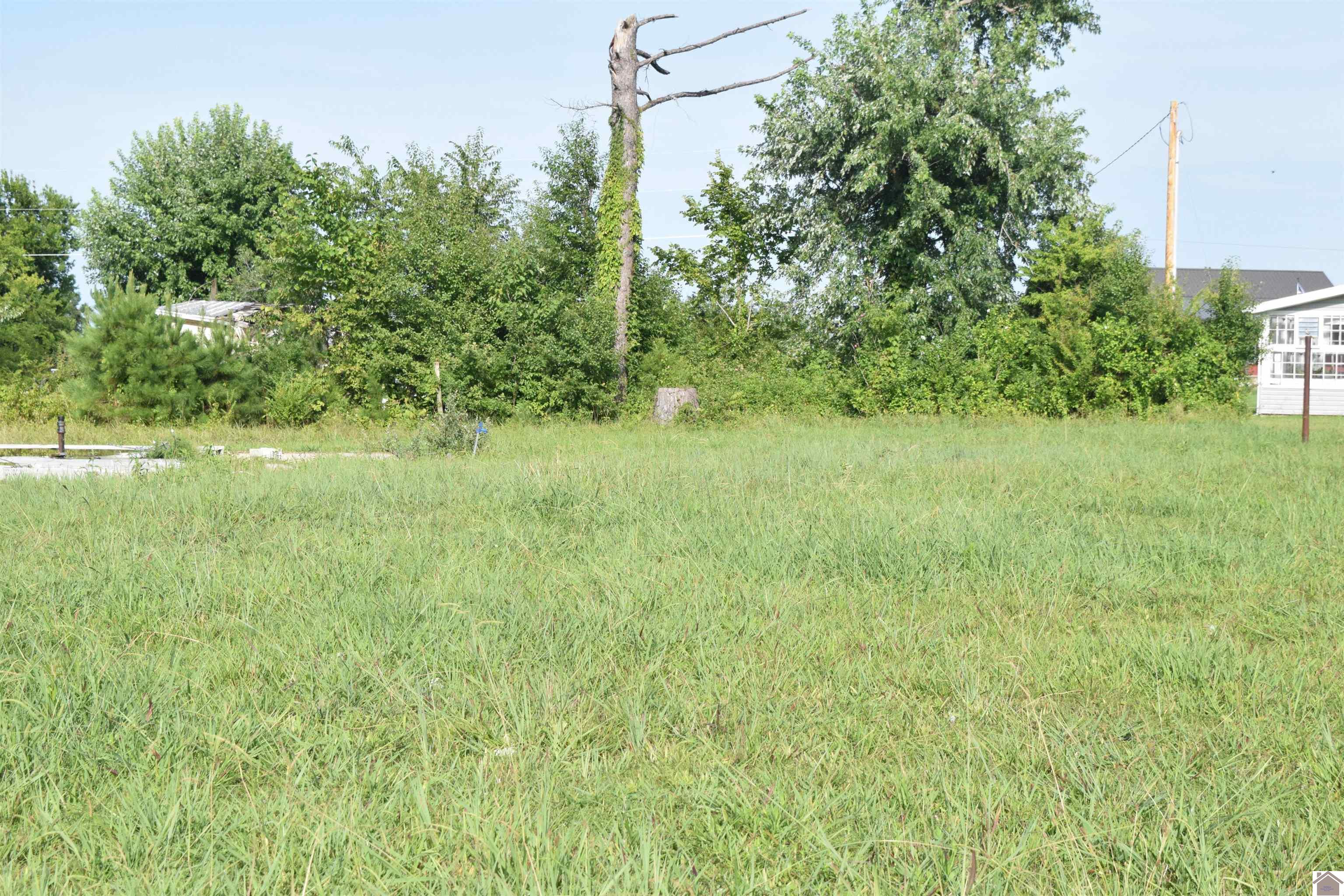 7349 Moores Camp Hwy Property Photo 1