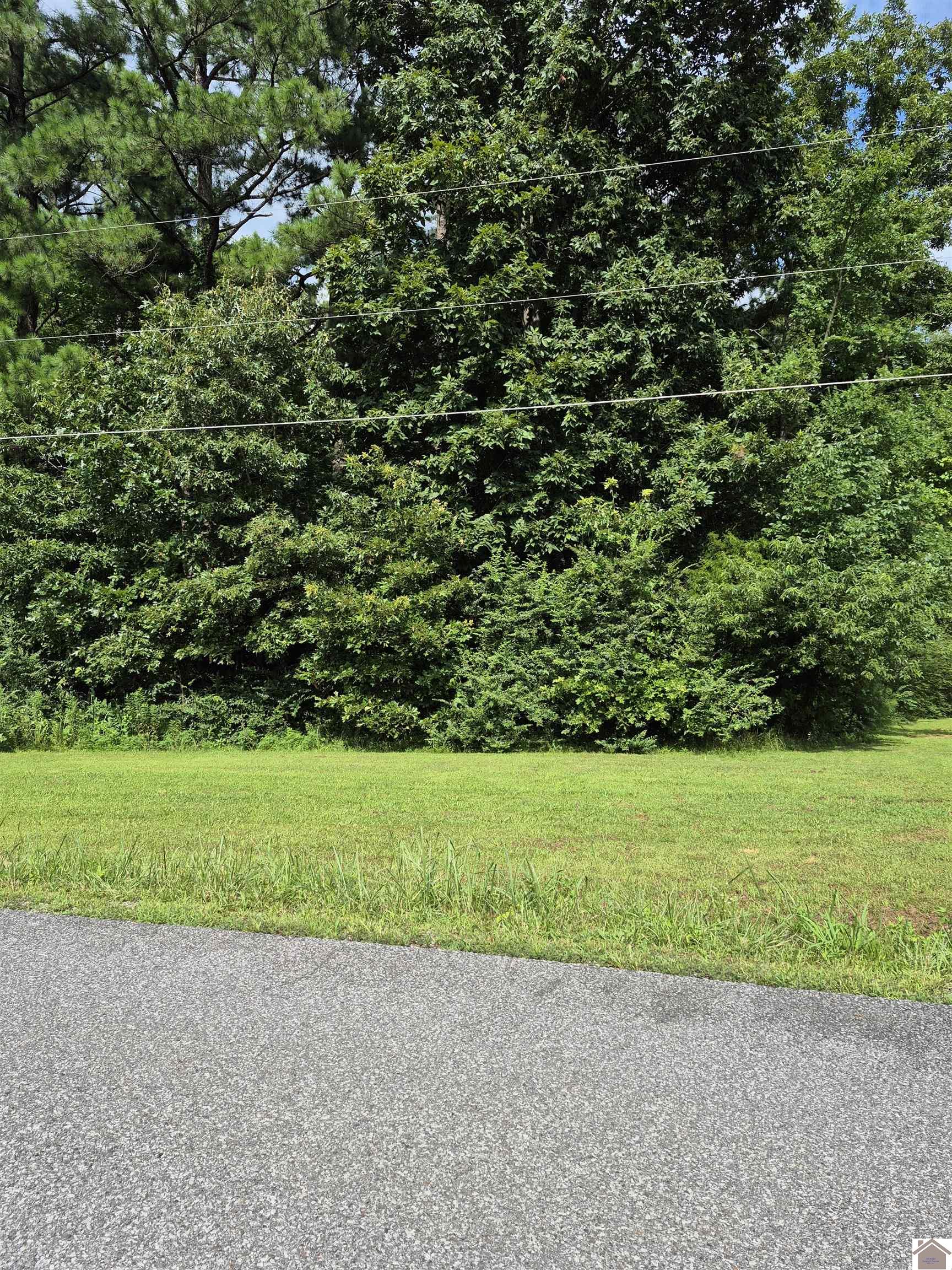 Lot#273 Hawkeye Drive Property Photo 1