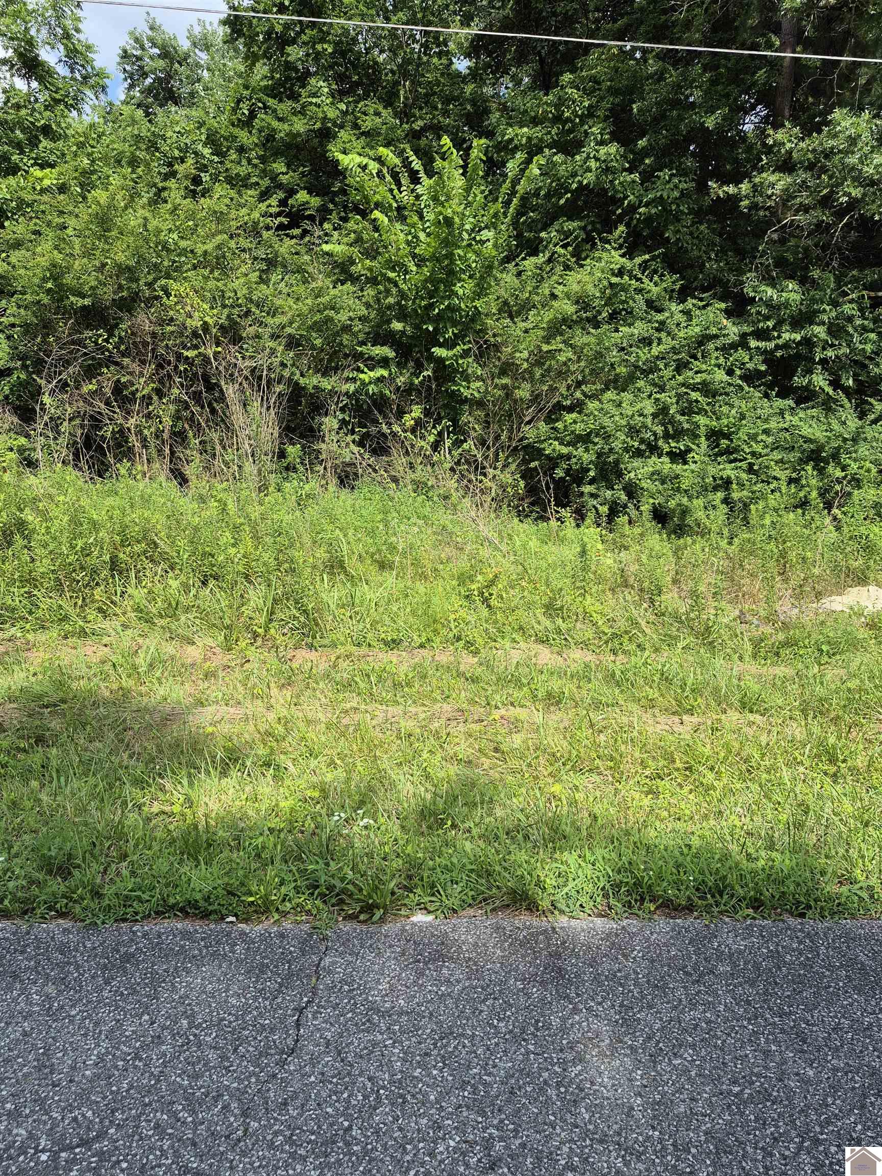 Lot#298 Southwood Drive Property Photo 1