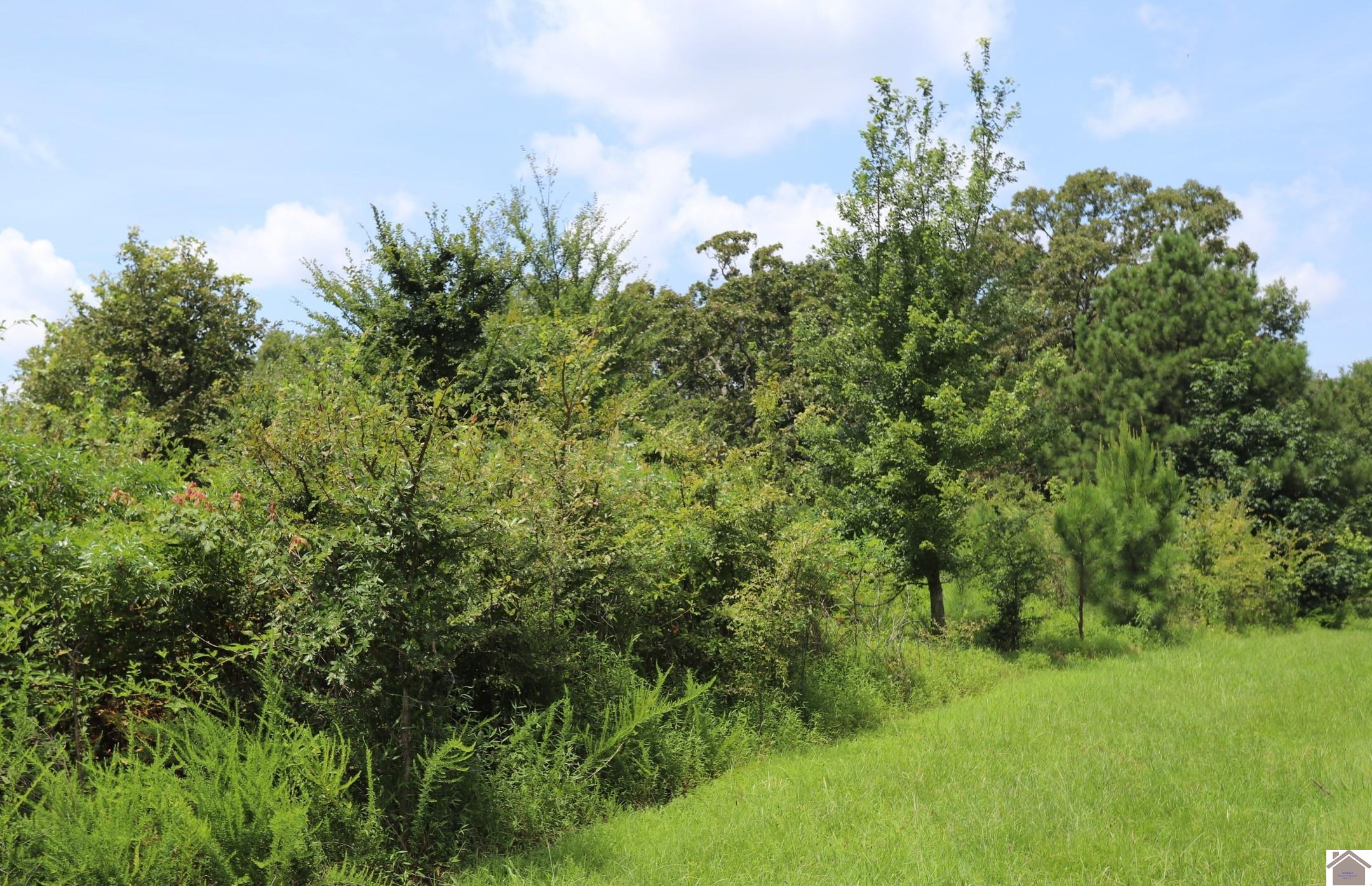Lot 58 Kirk Ridge Road Property Photo 1