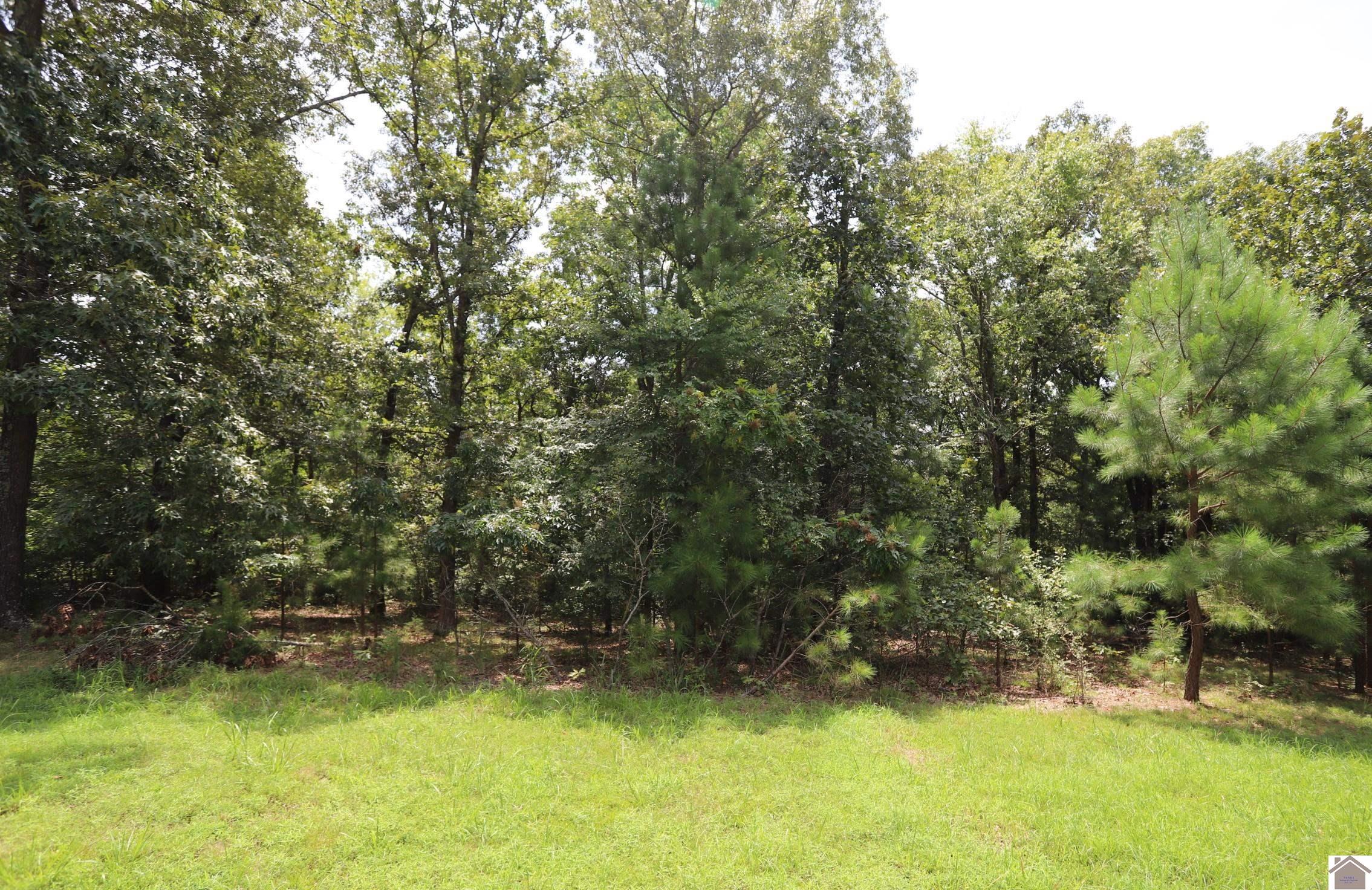 Lot 46 Waterfowl Ln Property Photo 1