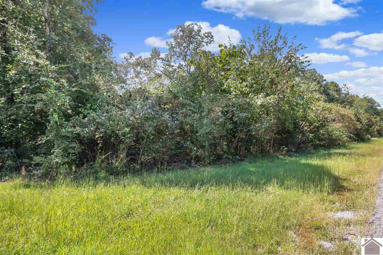 Lot #90 Pelican Lane Property Photo 1