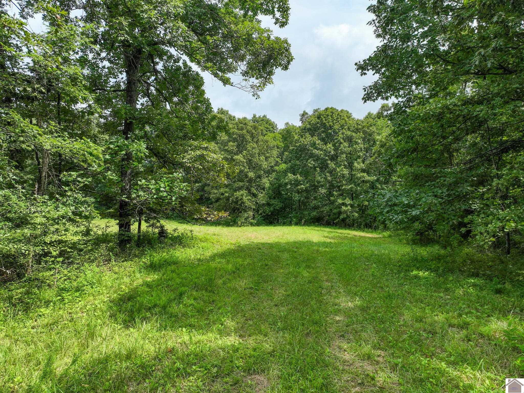 1134 Pisgah Road Property Photo 1