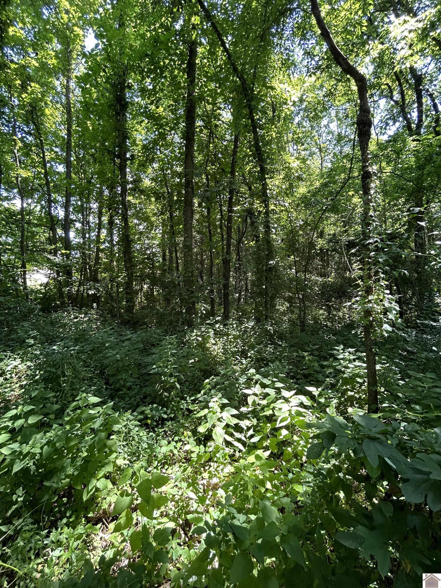 000 Maple Lane Property Photo 1