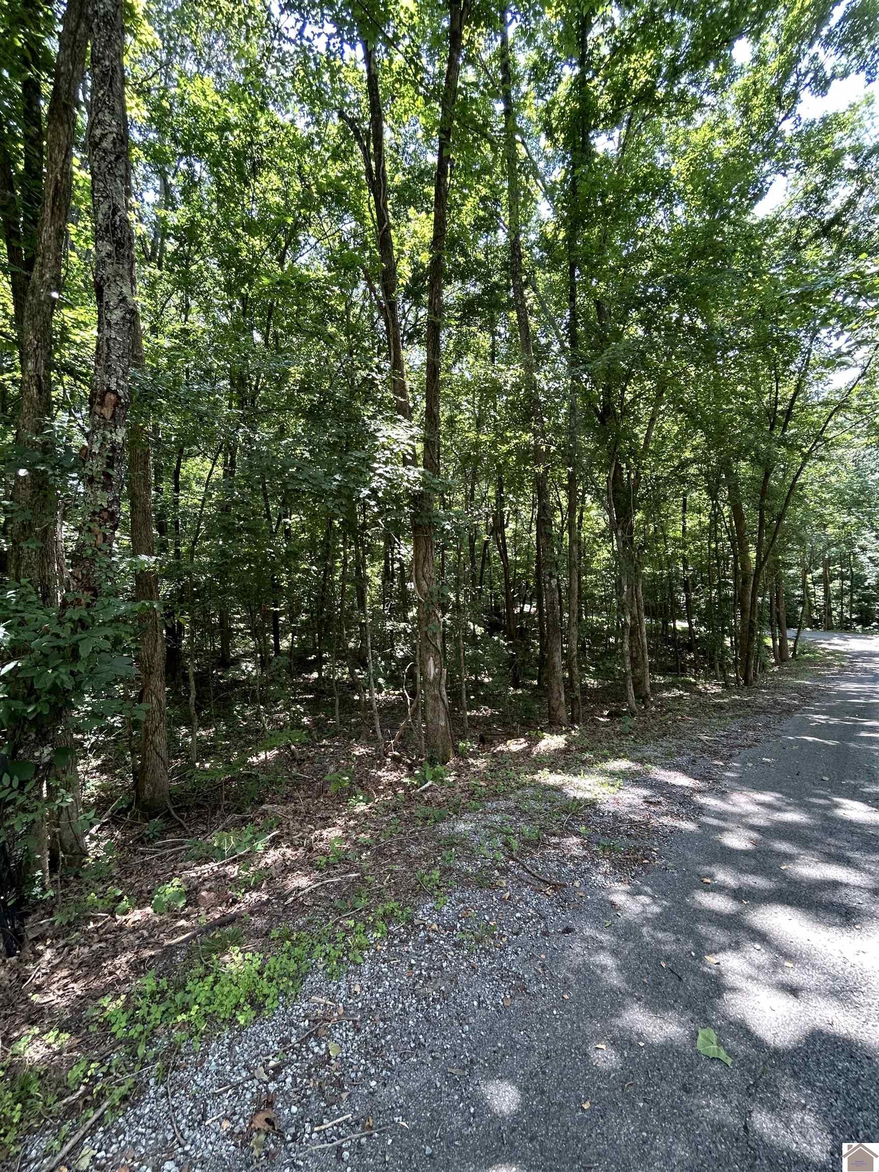 000 Cedar Lane Property Photo 1