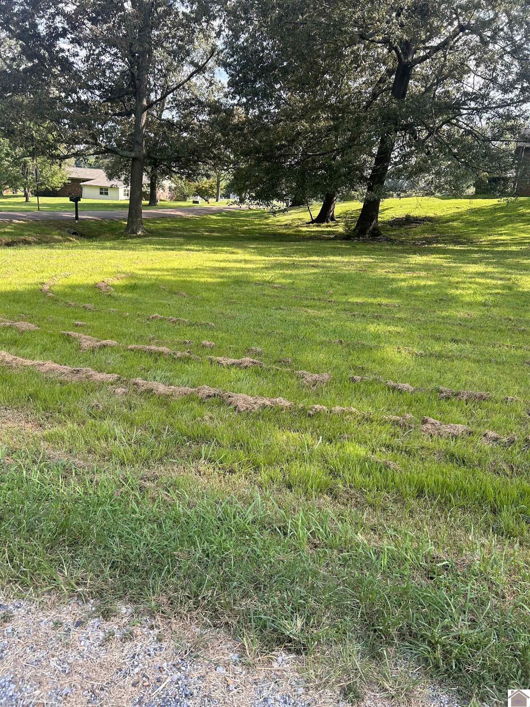 4055 Dogwood Ln Property Photo 2