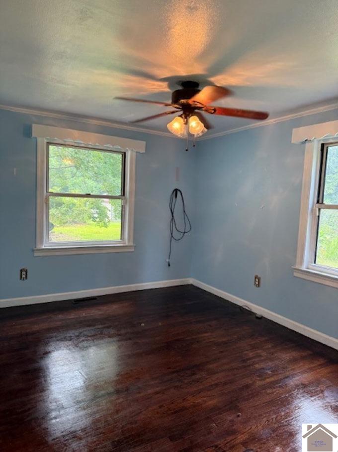 10965 State Route 131 Property Photo 9