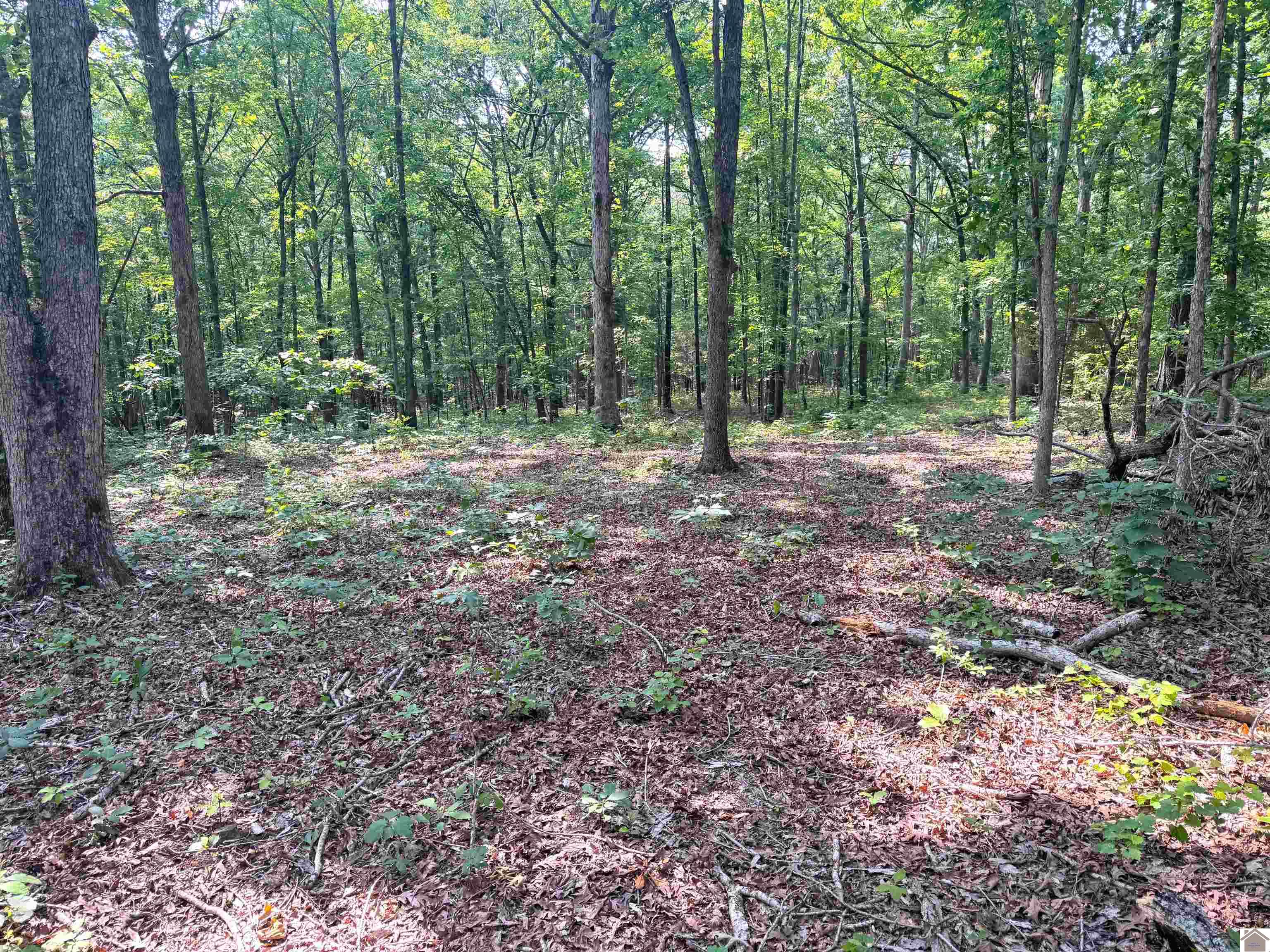 00 Beat Farmer Road, Lot 2 Property Photo 1
