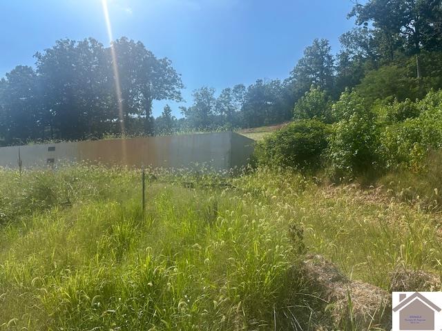 528 Holly Lane Property Photo 1