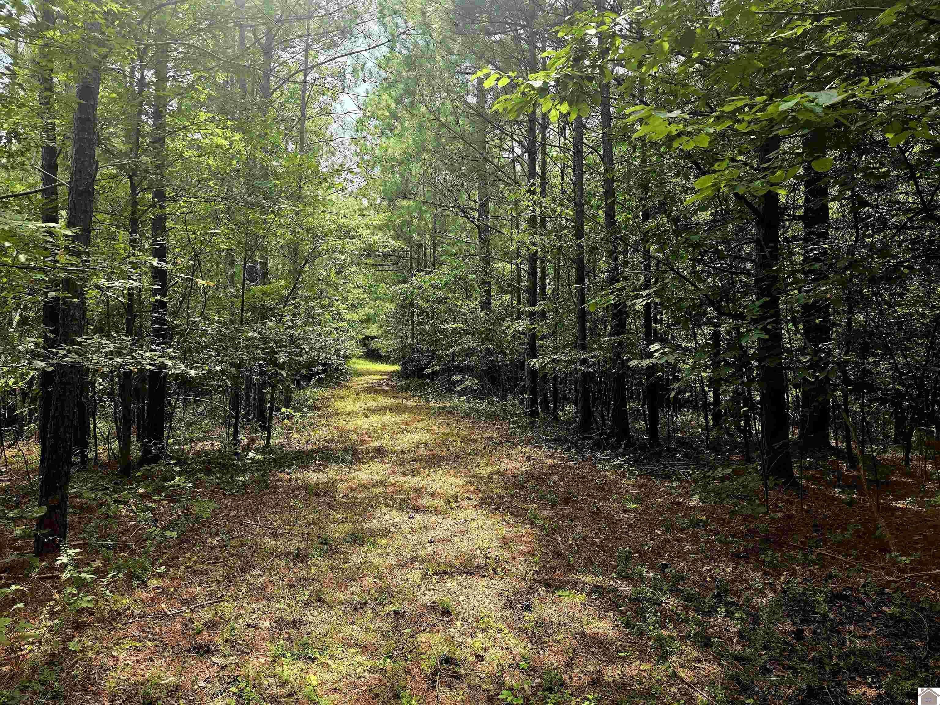 000 Vicksburg Rd Property Photo 1